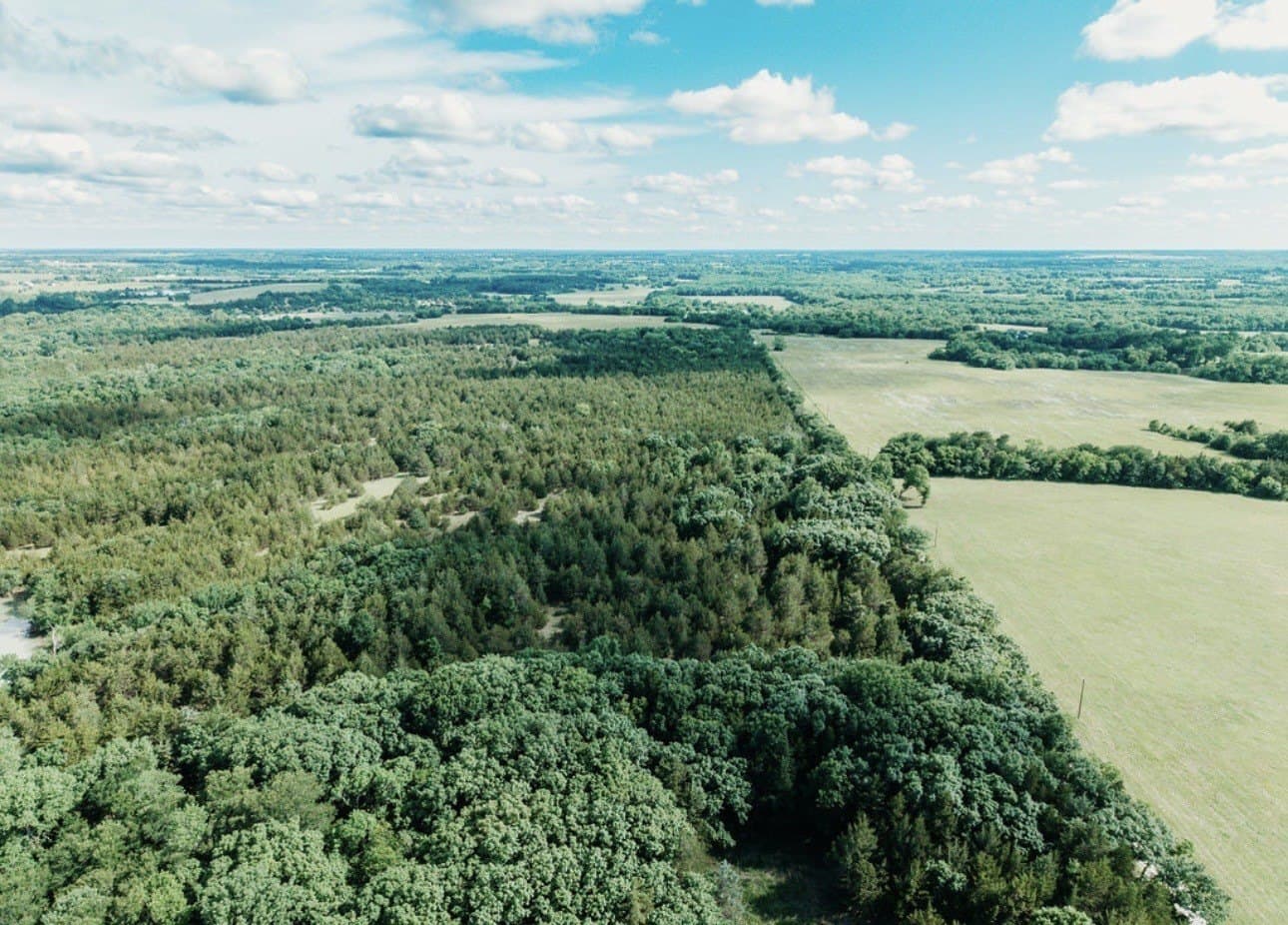 10 acres in Fannin County - photo 25