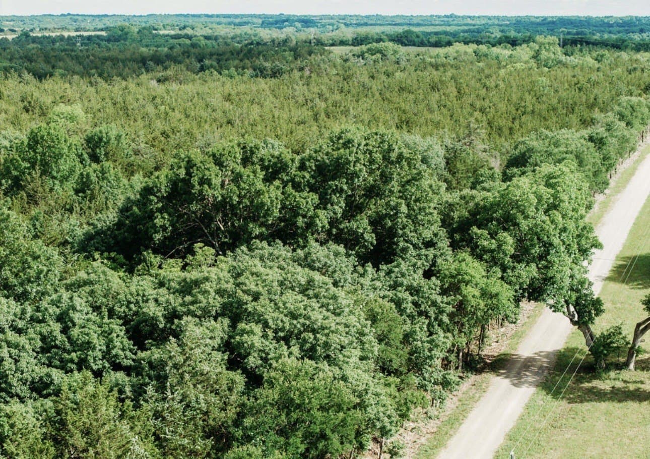 10 acres in Fannin County - photo 11