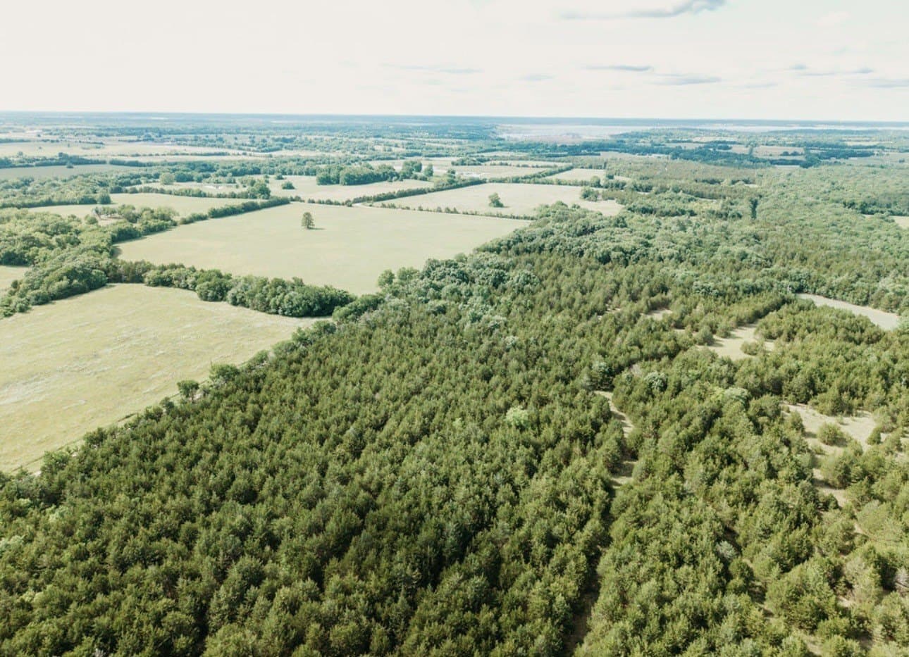 10 acres in Fannin County - photo 18