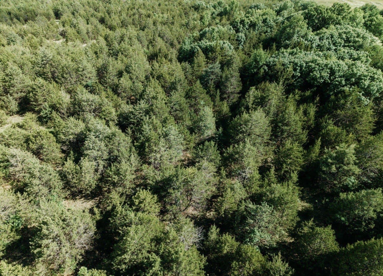 10 acres in Fannin County - photo 22