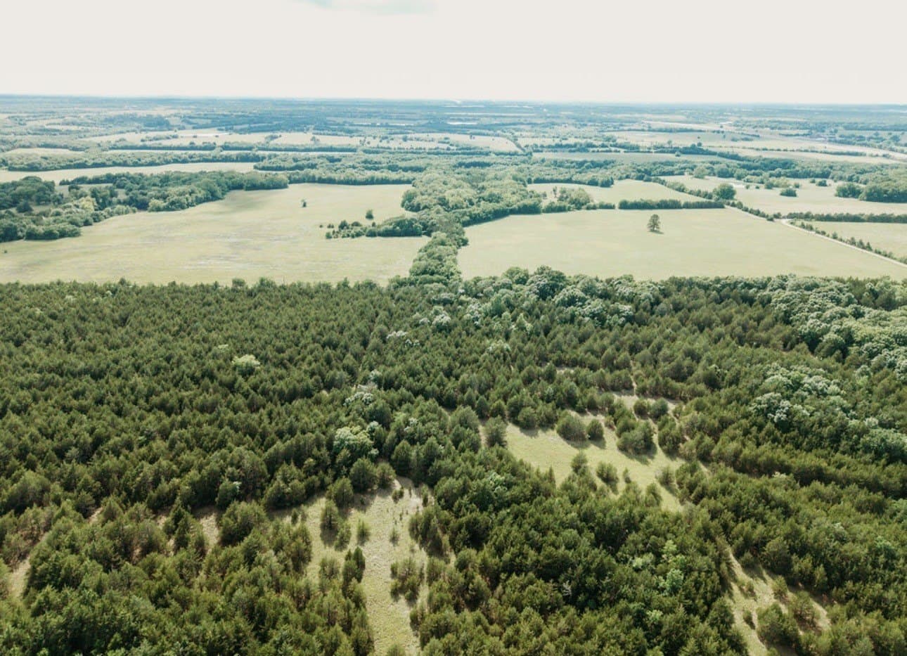 10 acres in Fannin County - photo 19