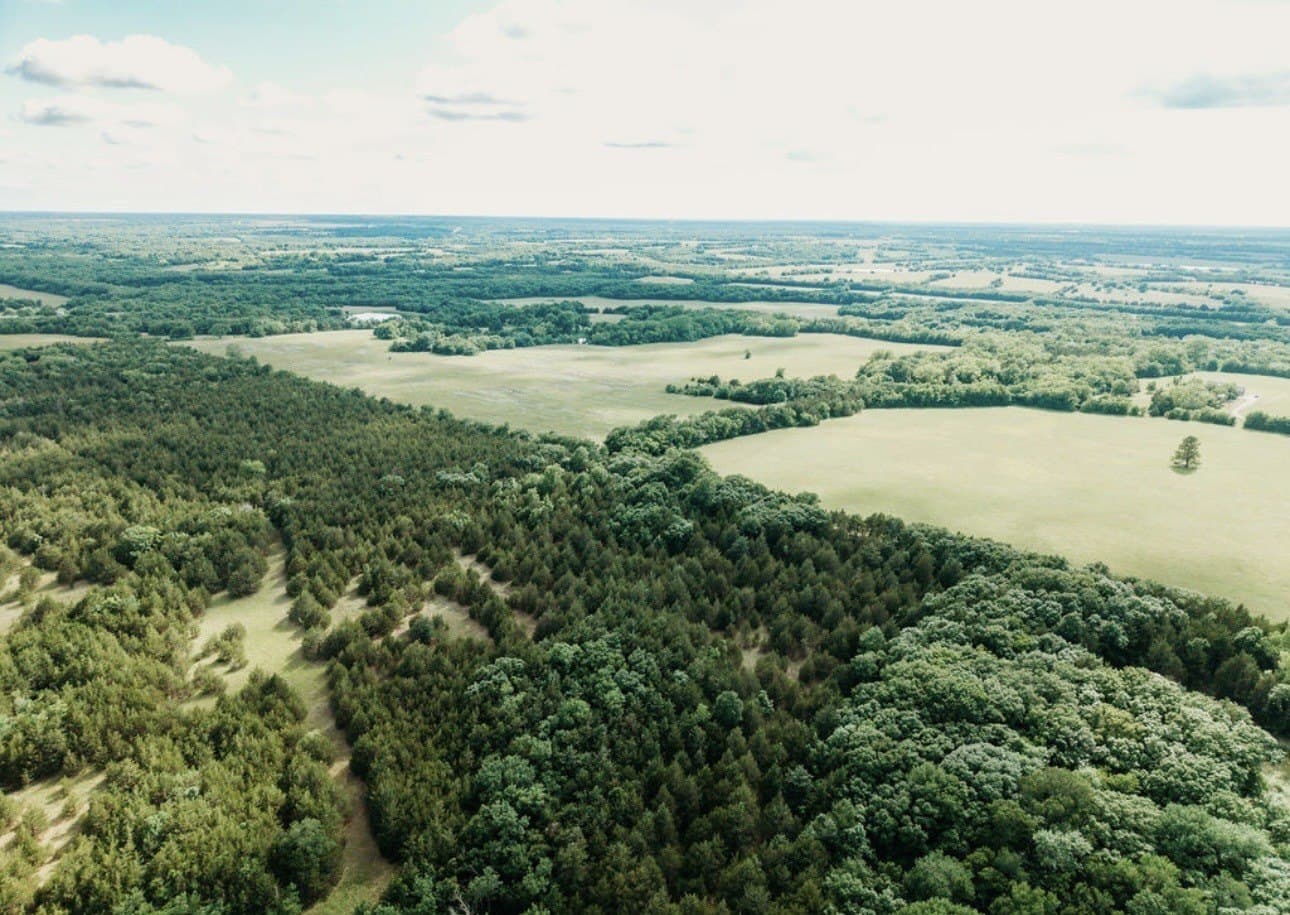 10 acres in Fannin County - photo 9