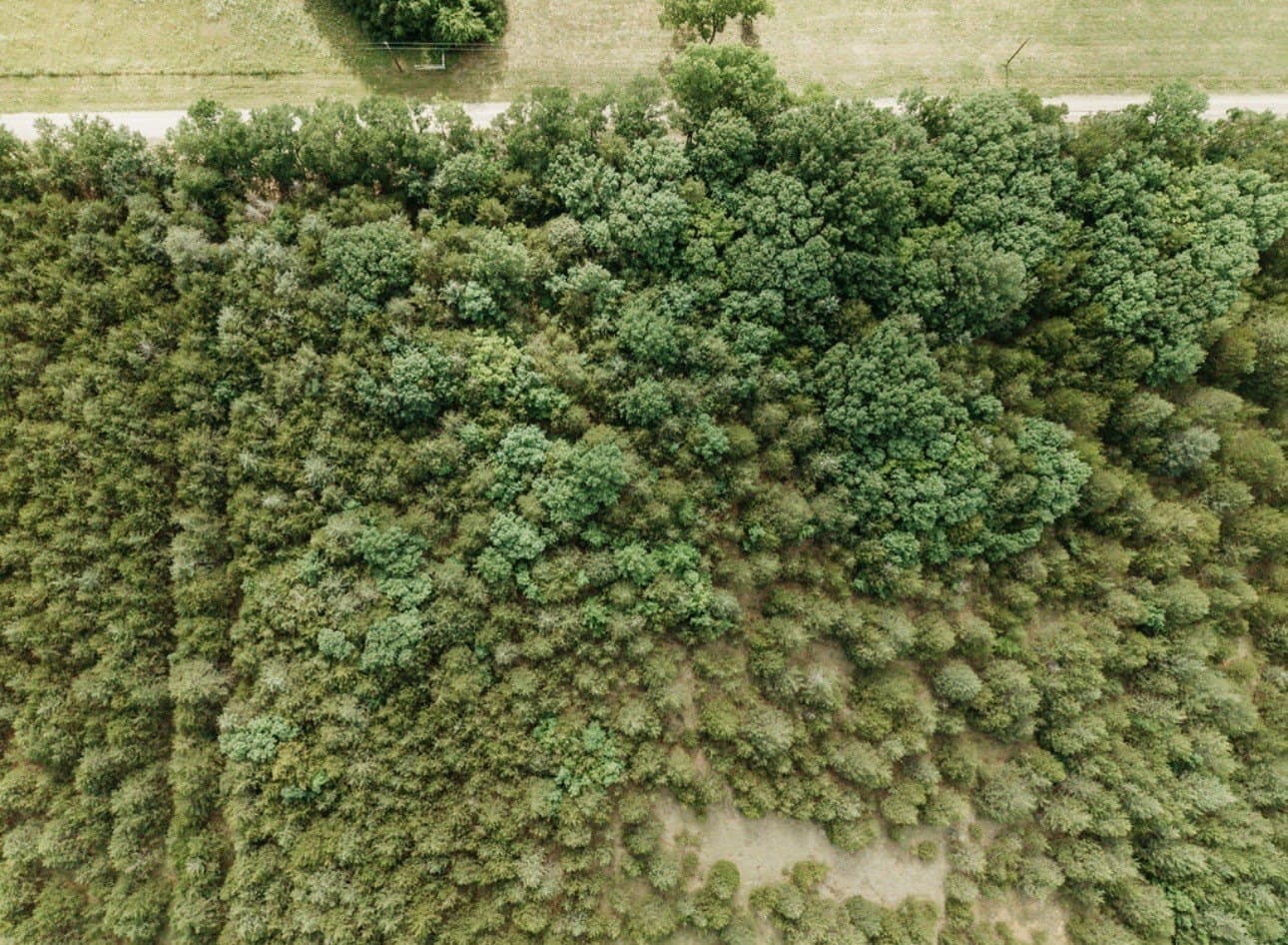 10 acres in Fannin County featured view