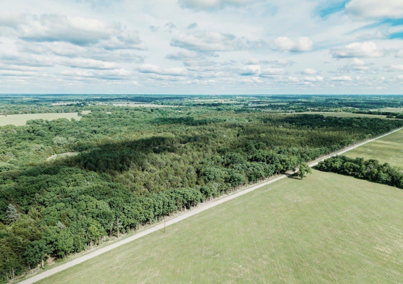 10 acres in Fannin County - photo 26