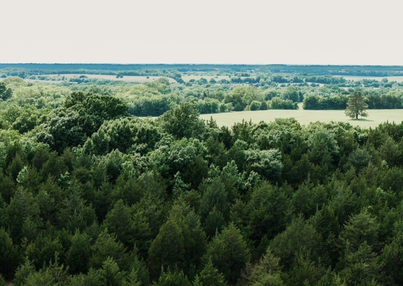 10 acres in Fannin County - photo 10
