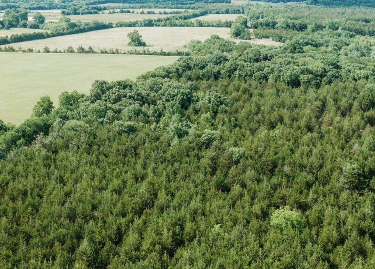 10 acres in Fannin County - photo 16