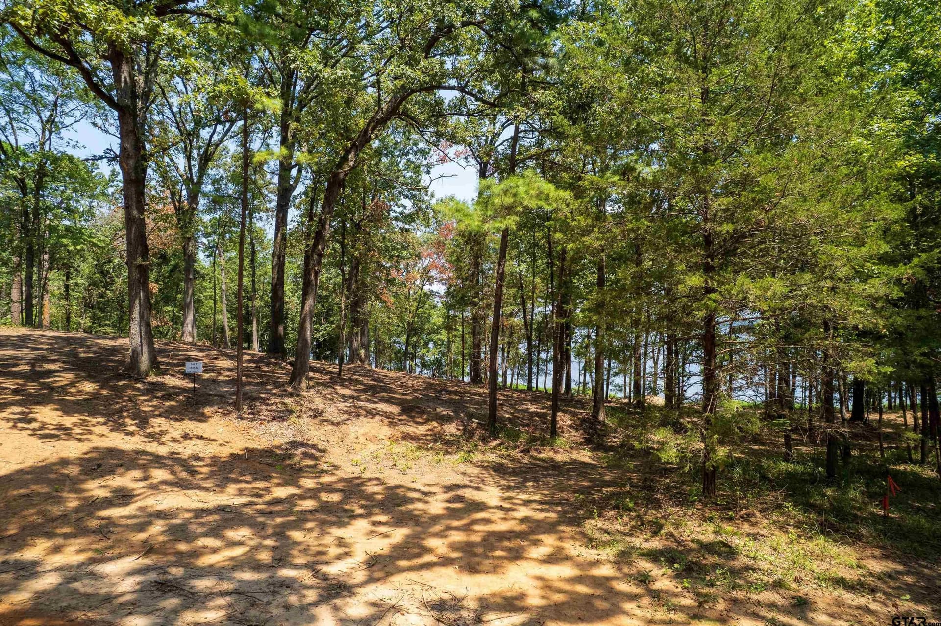1.61 acres in Camp County - photo 8