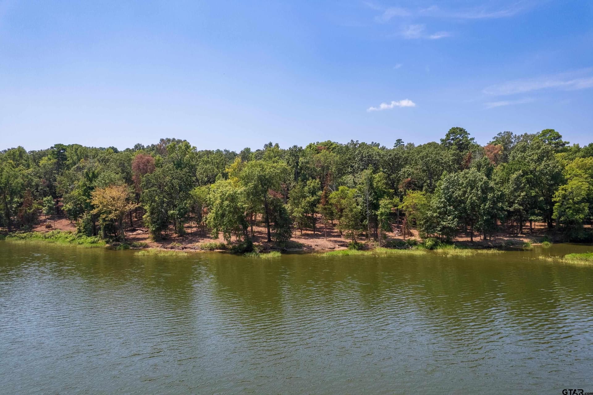 1.61 acres in Camp County - photo 7