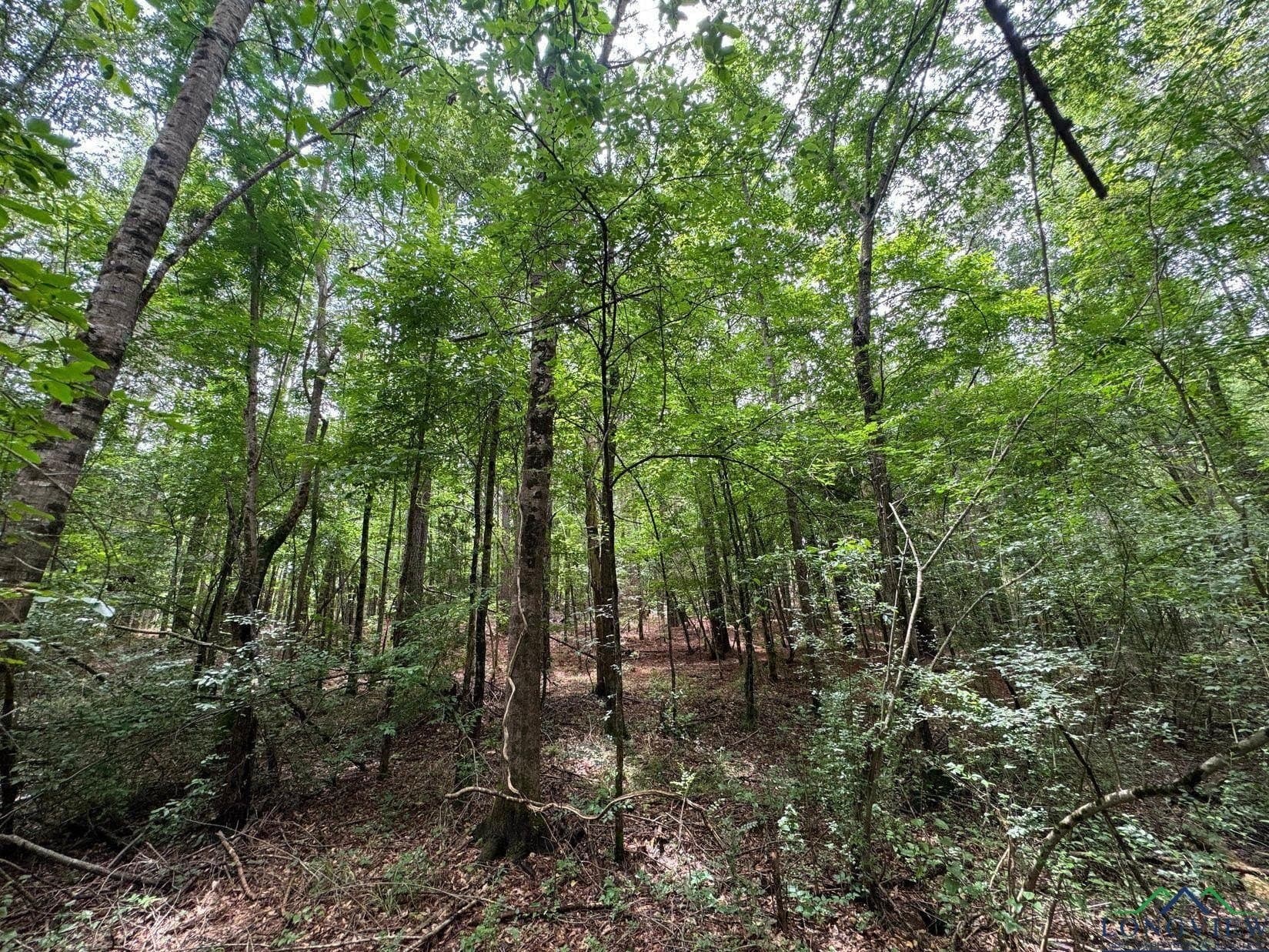 8.42 acres in Marion County featured view