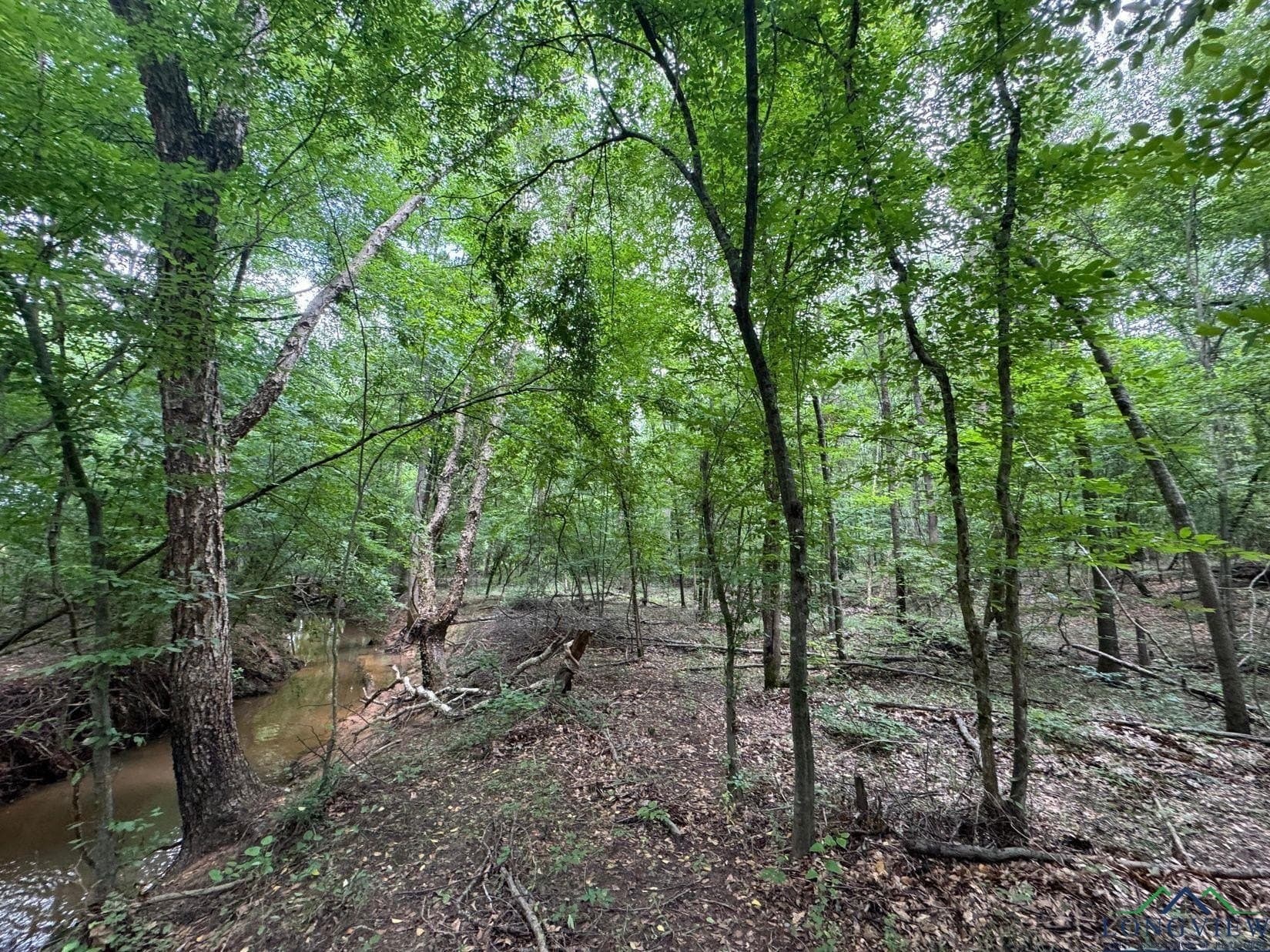 8.42 acres in Marion County gallery image 4