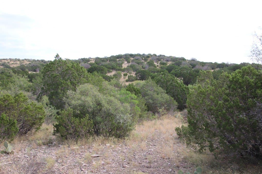 51.07 acres in Edwards County - photo 42