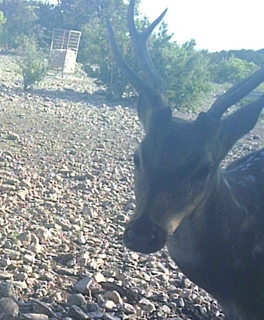 51.07 acres in Edwards County gallery image 3