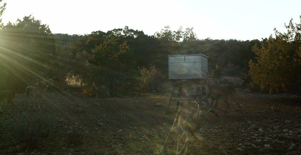 51.07 acres in Edwards County - photo 7
