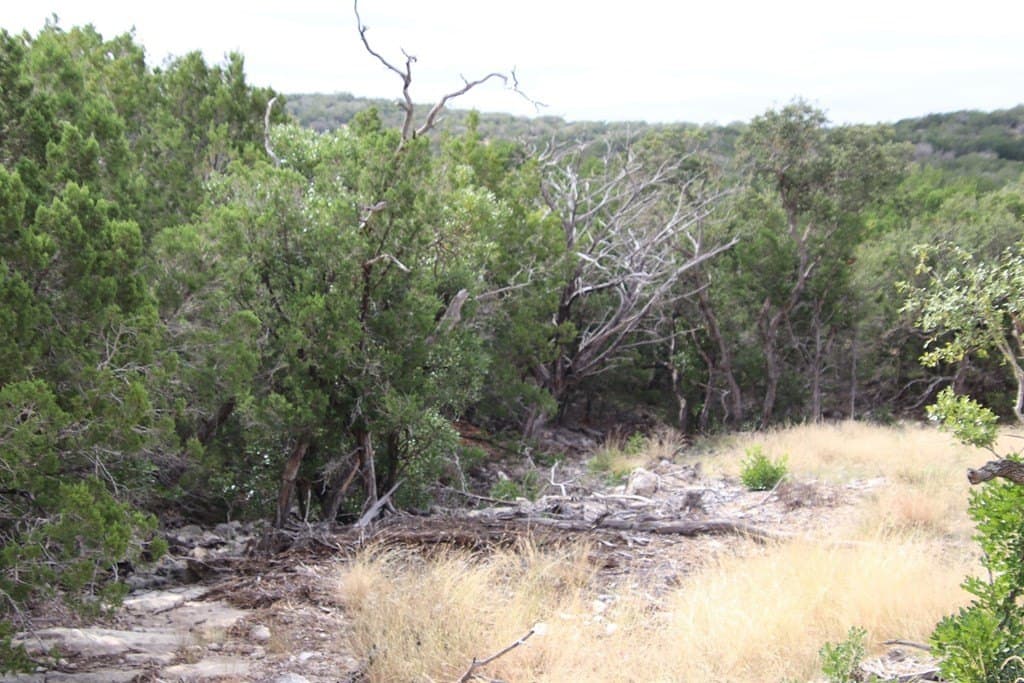 51.07 acres in Edwards County - photo 51