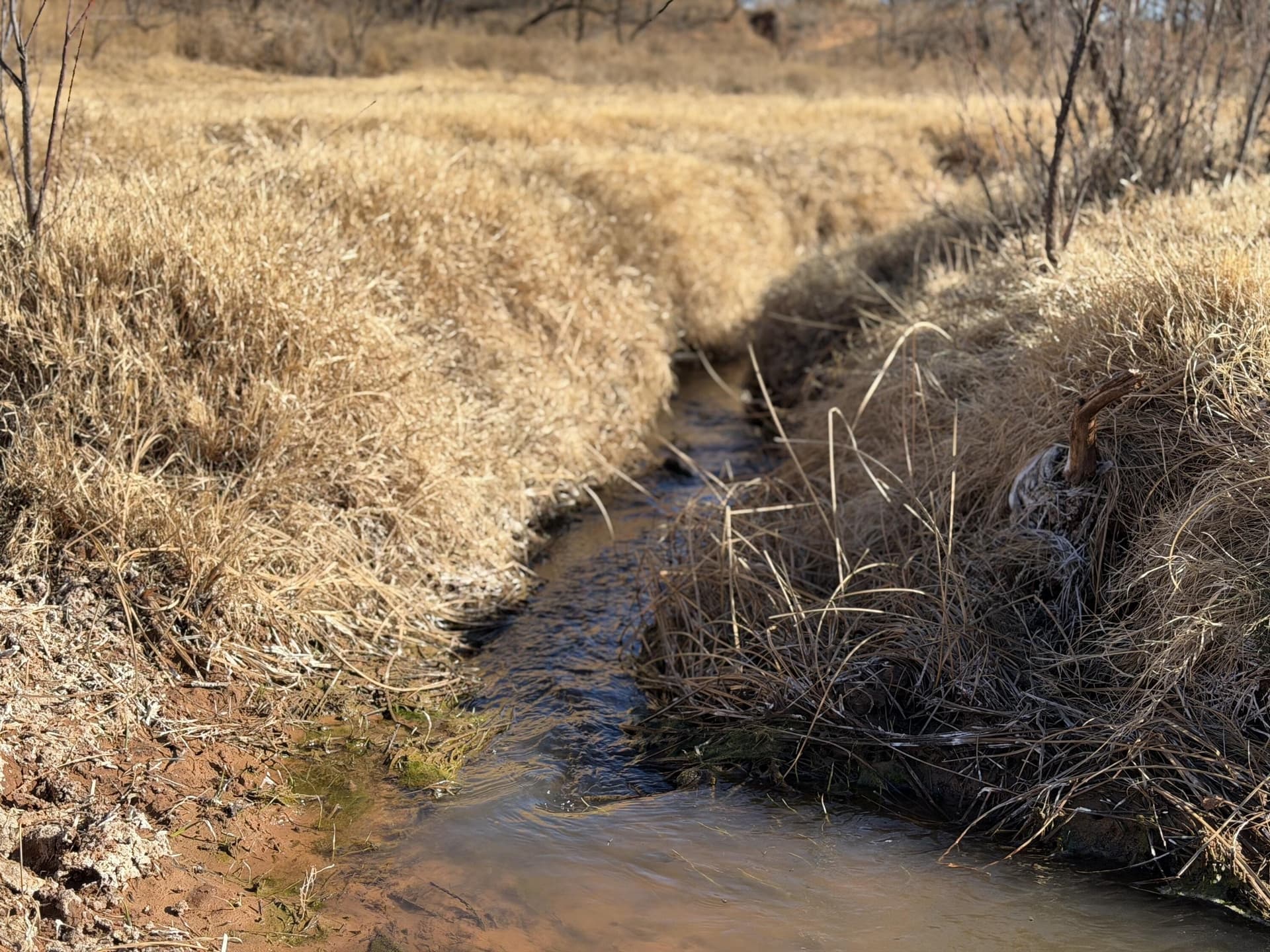 132.5 acres in Hall County featured view