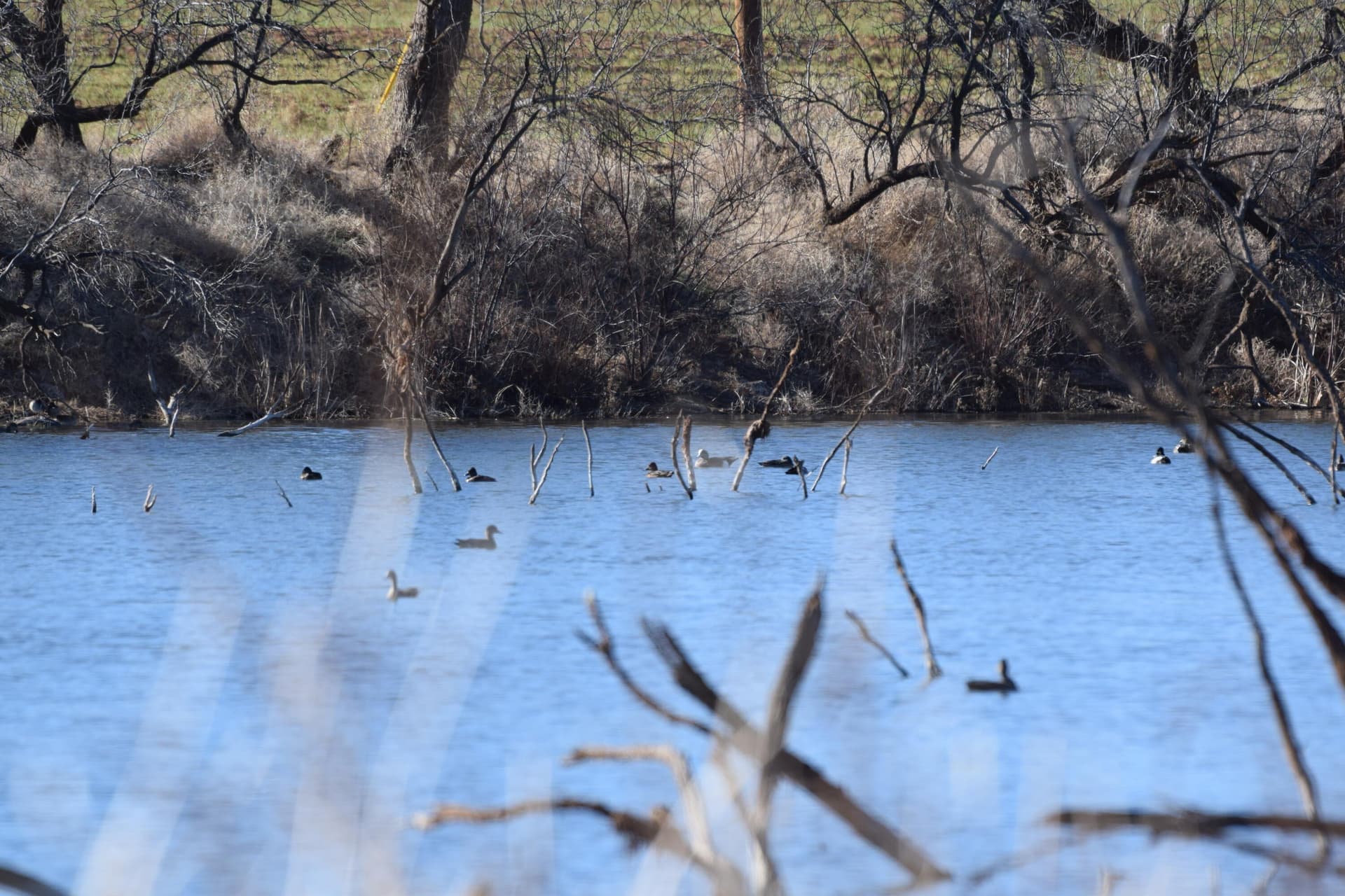132.5 acres in Hall County gallery image 2
