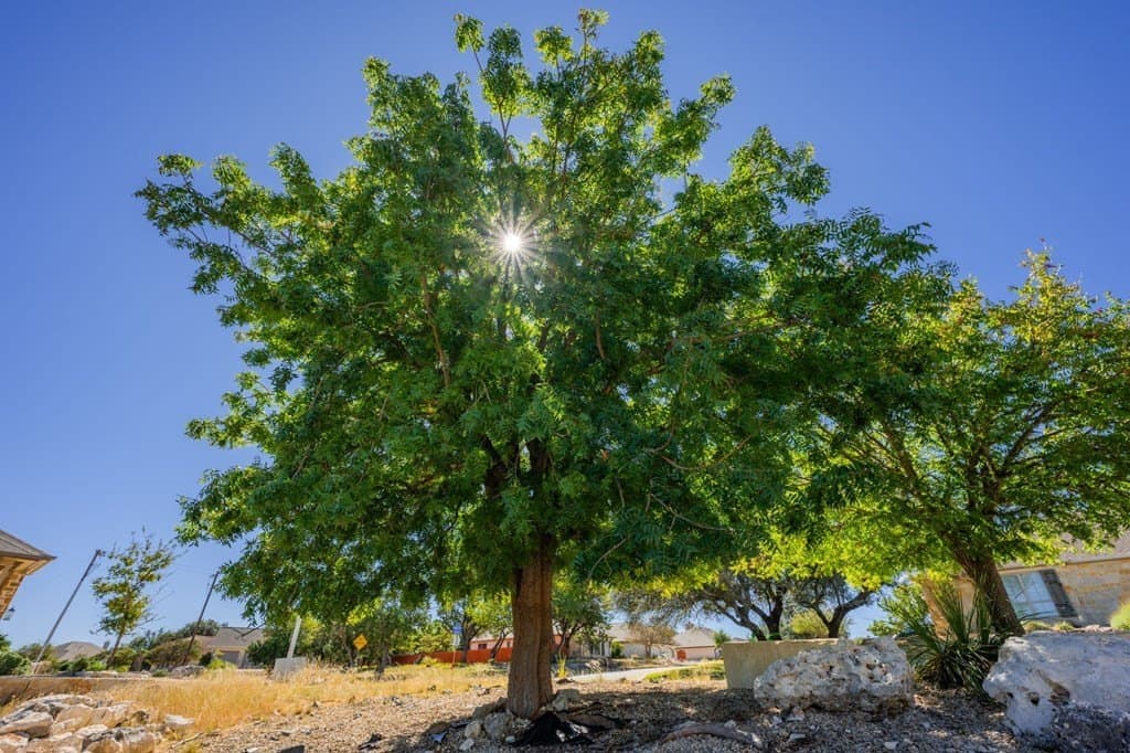 0.42 acres in Kerr County gallery image 2