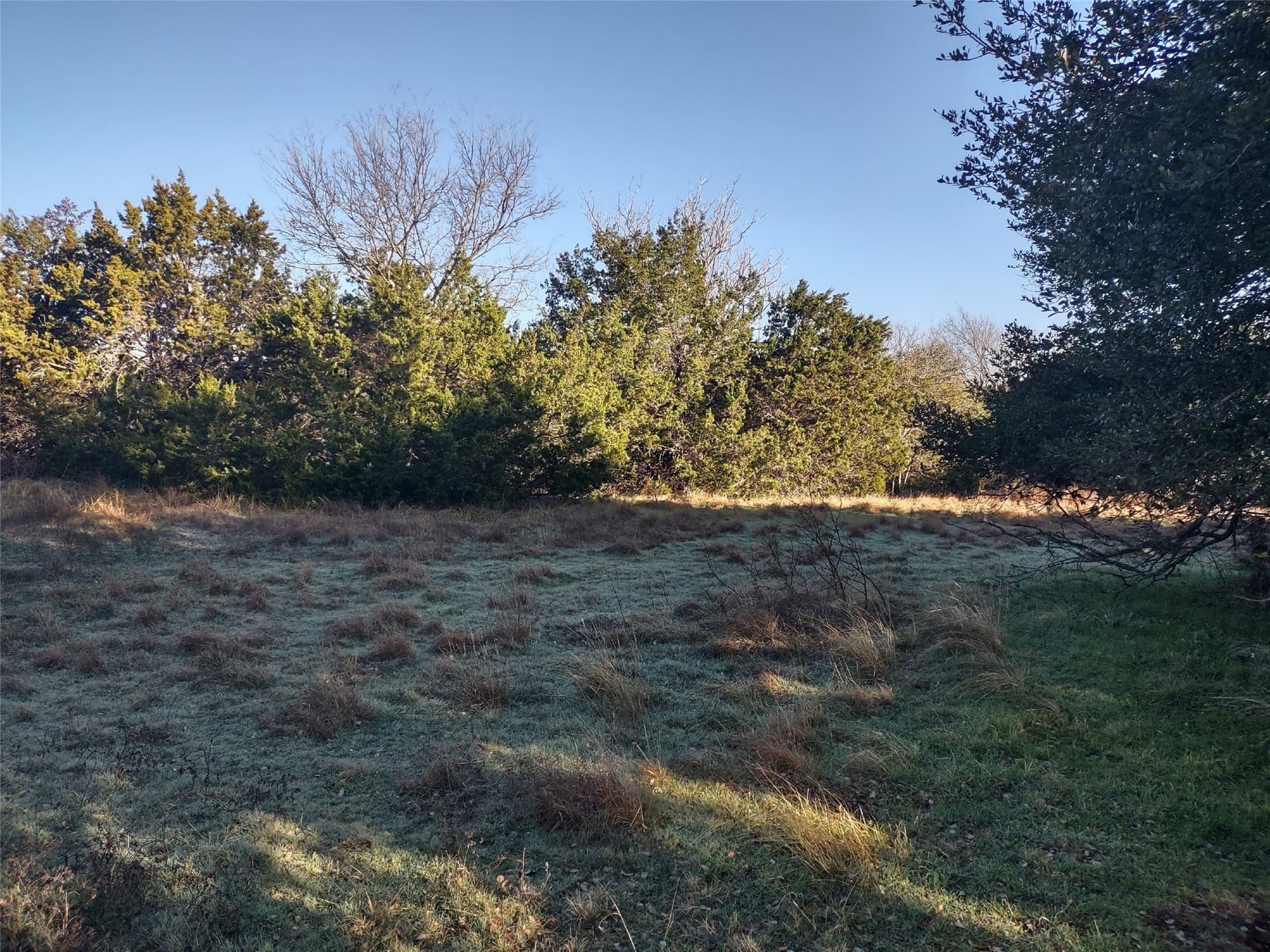 0.13 acres in Hill County - photo 3