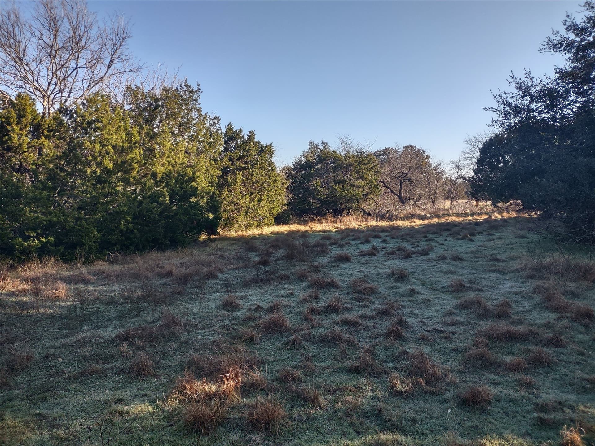0.13 acres in Hill County - photo 5