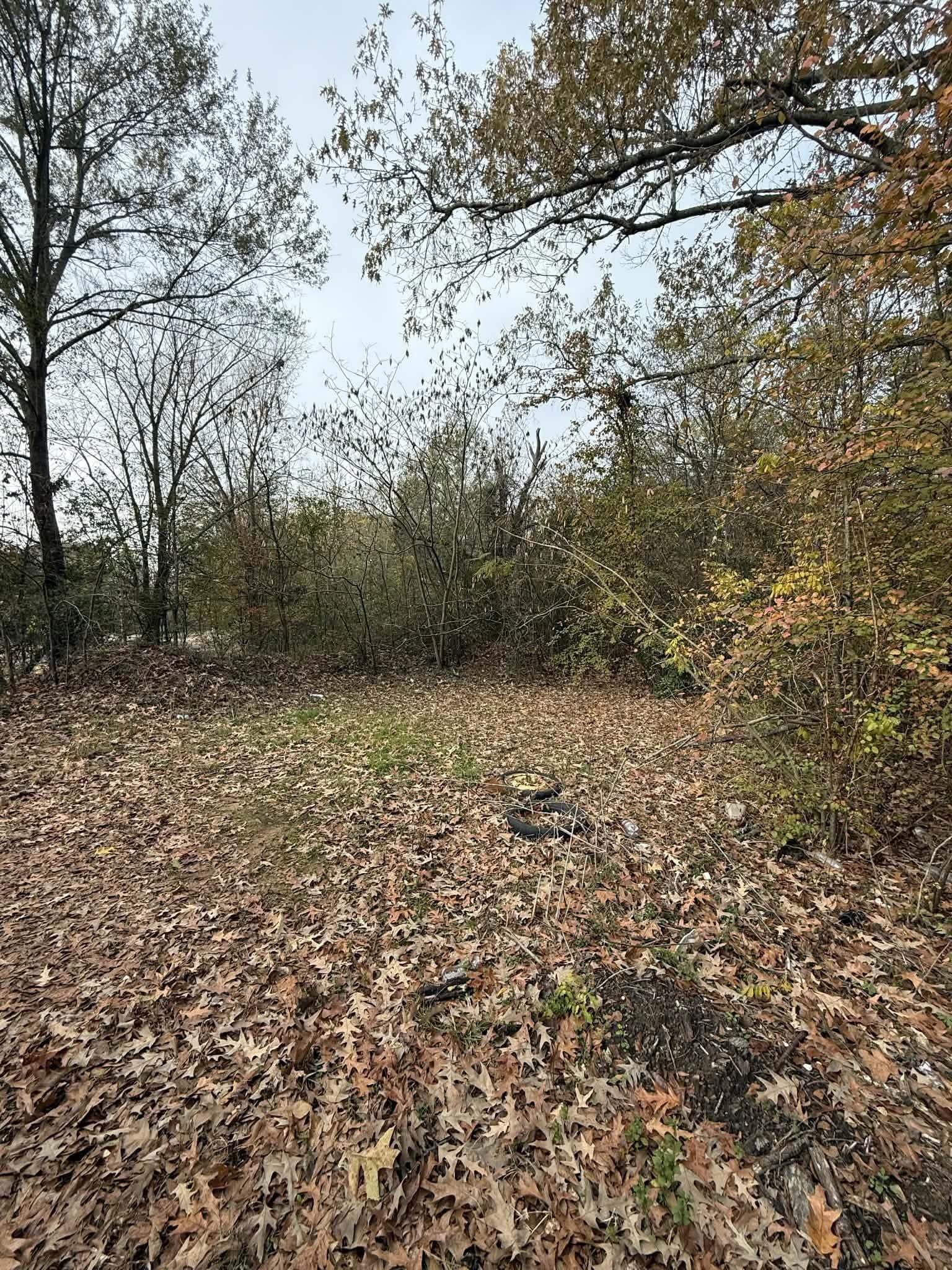 0.38 acres in Texas County featured view