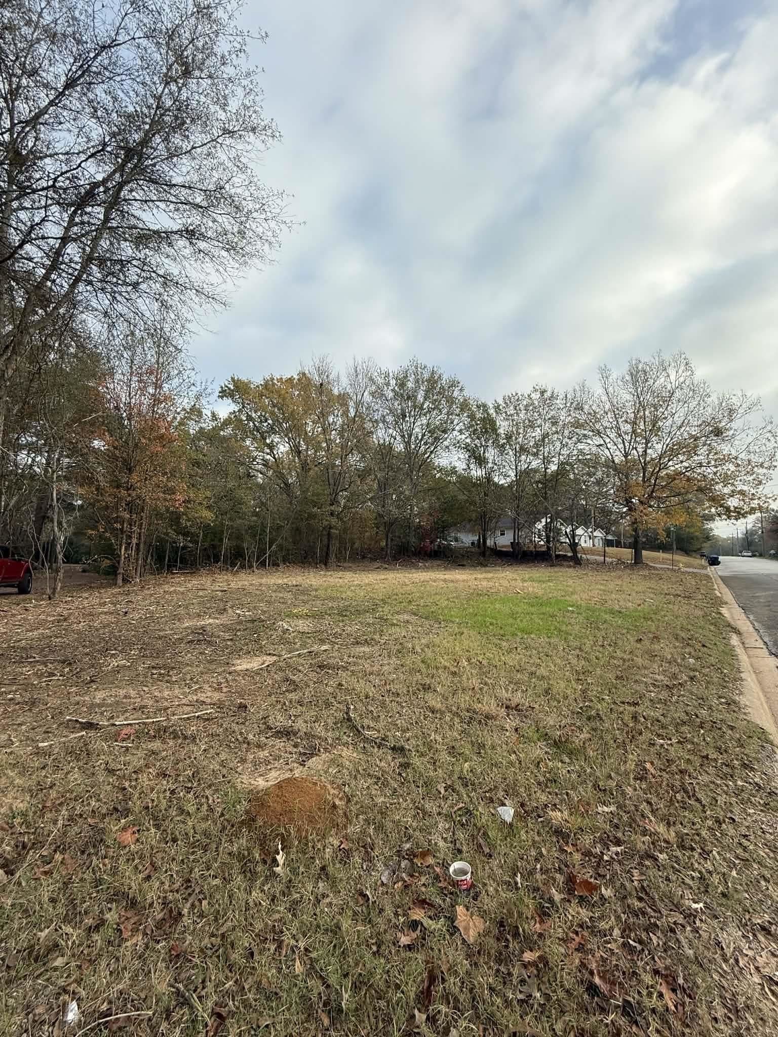 0.38 acres in Texas County gallery image 3