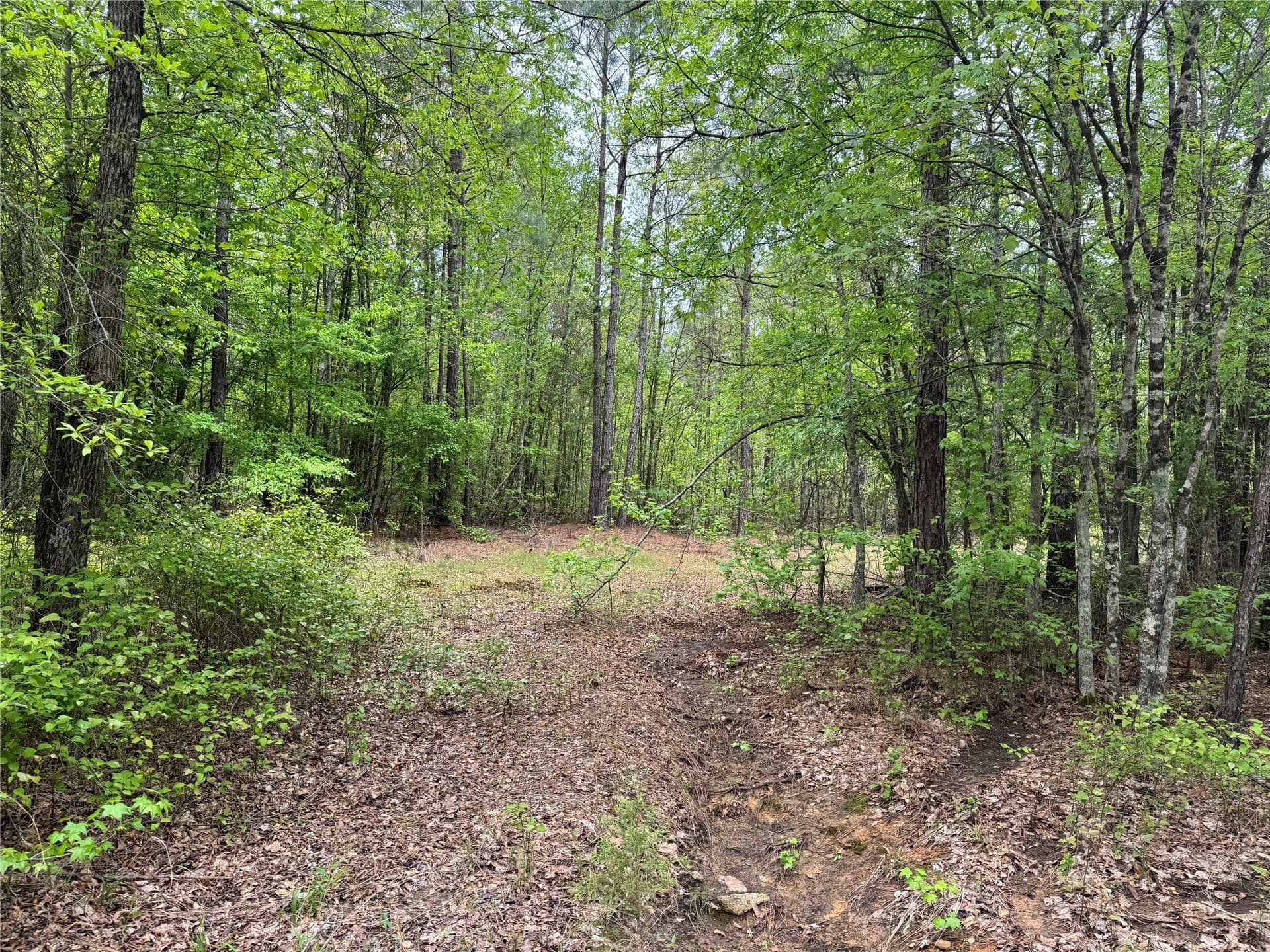 114.19 acres in Cass County - photo 9