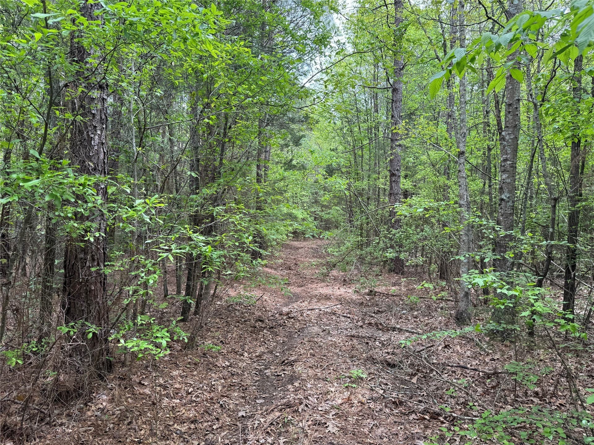 114.19 acres in Cass County - photo 17