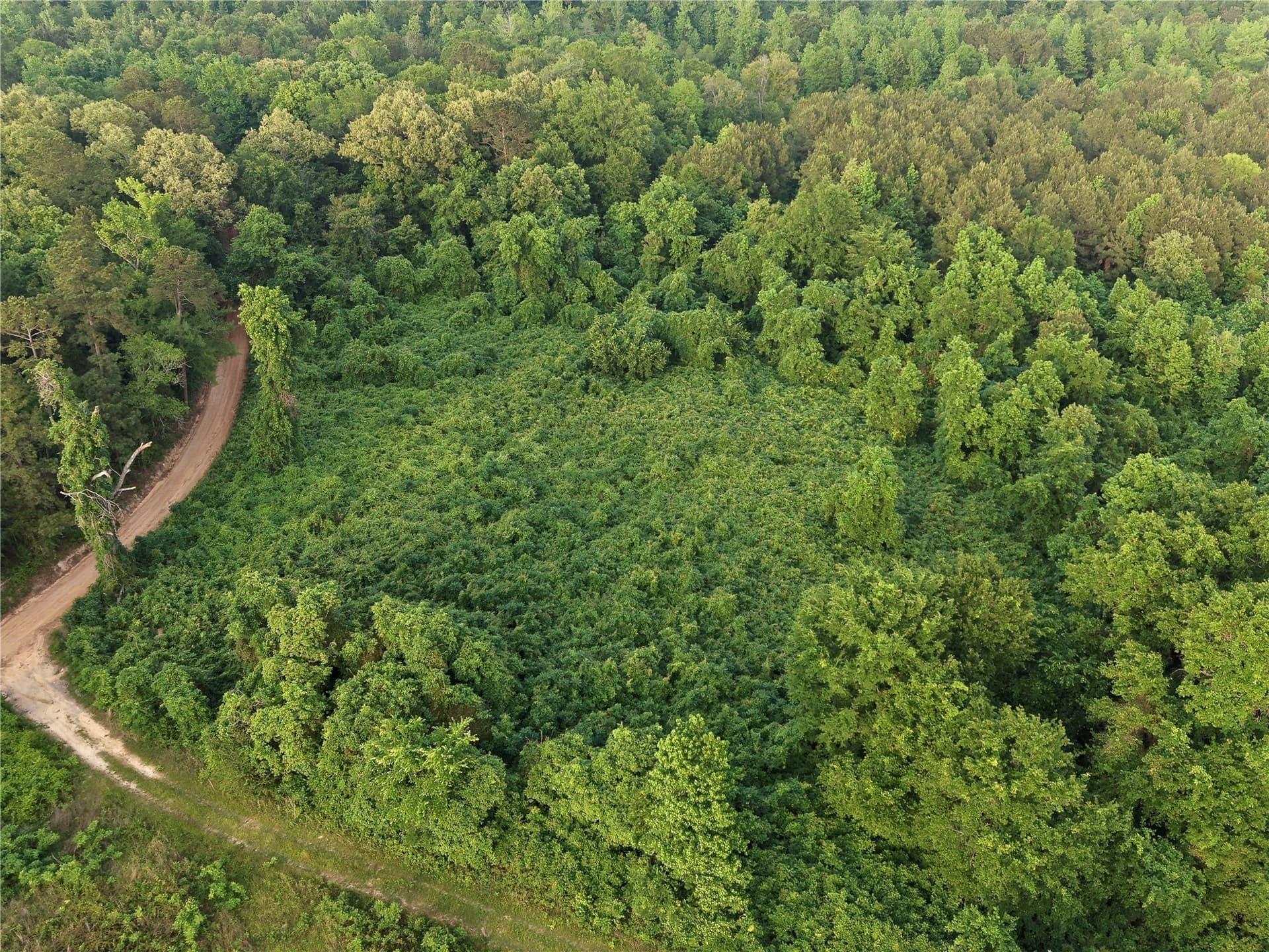 114.19 acres in Cass County - photo 15