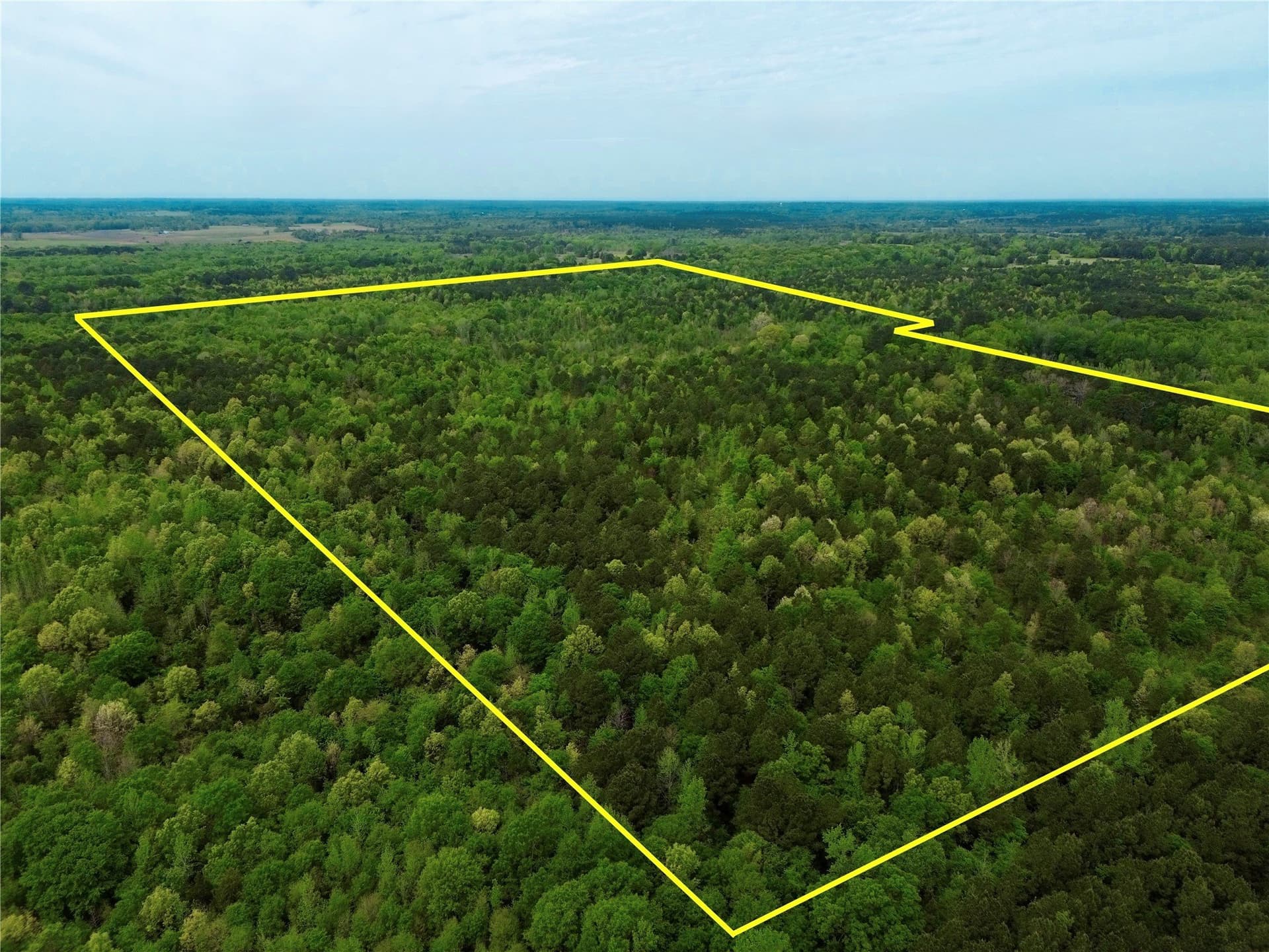 114.19 acres in Cass County - photo 21