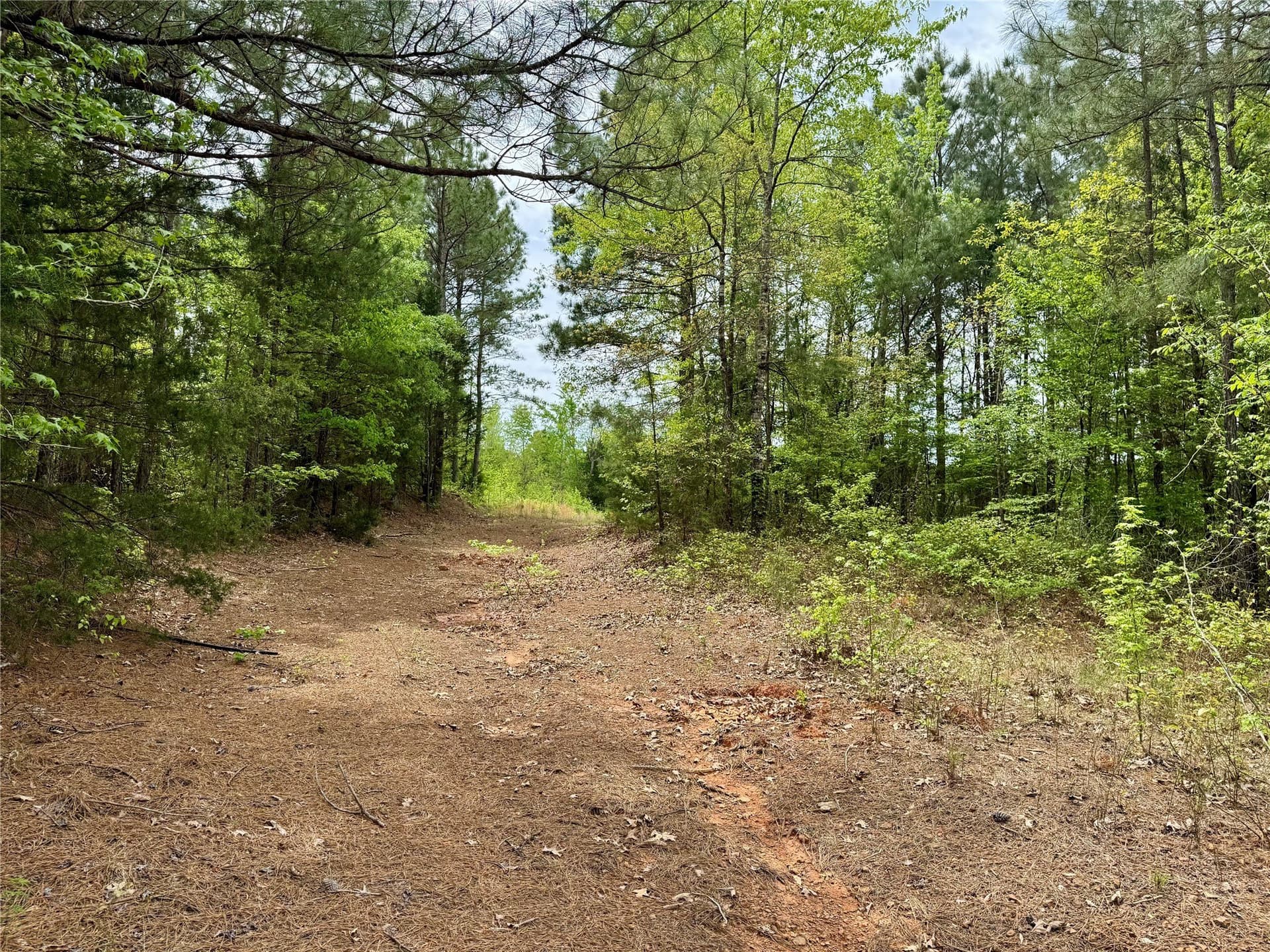 114.19 acres in Cass County featured view