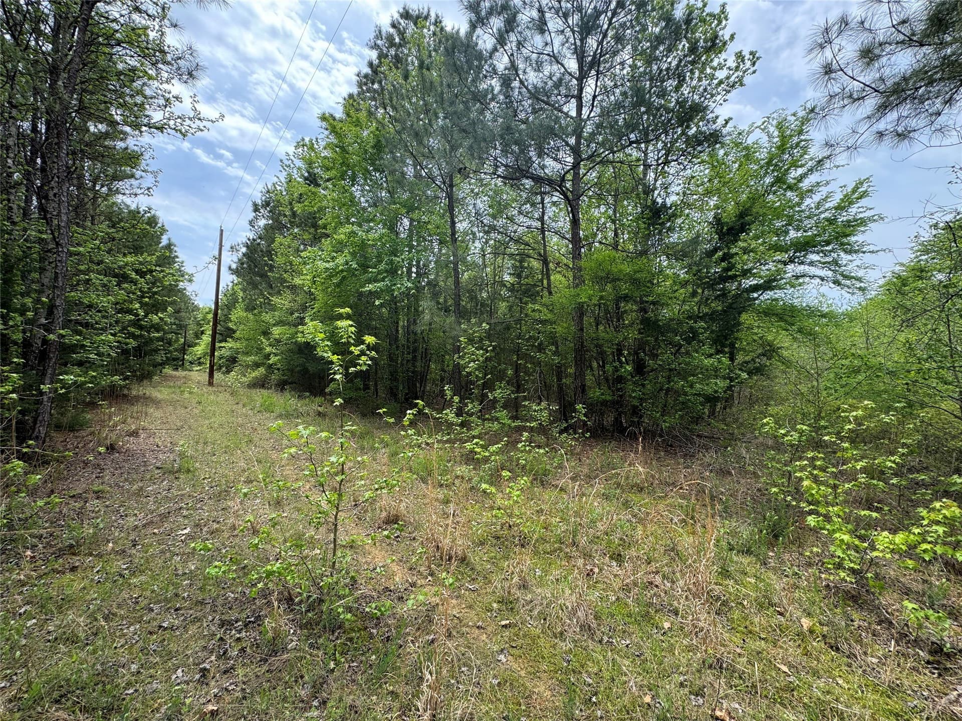 114.19 acres in Cass County - photo 16