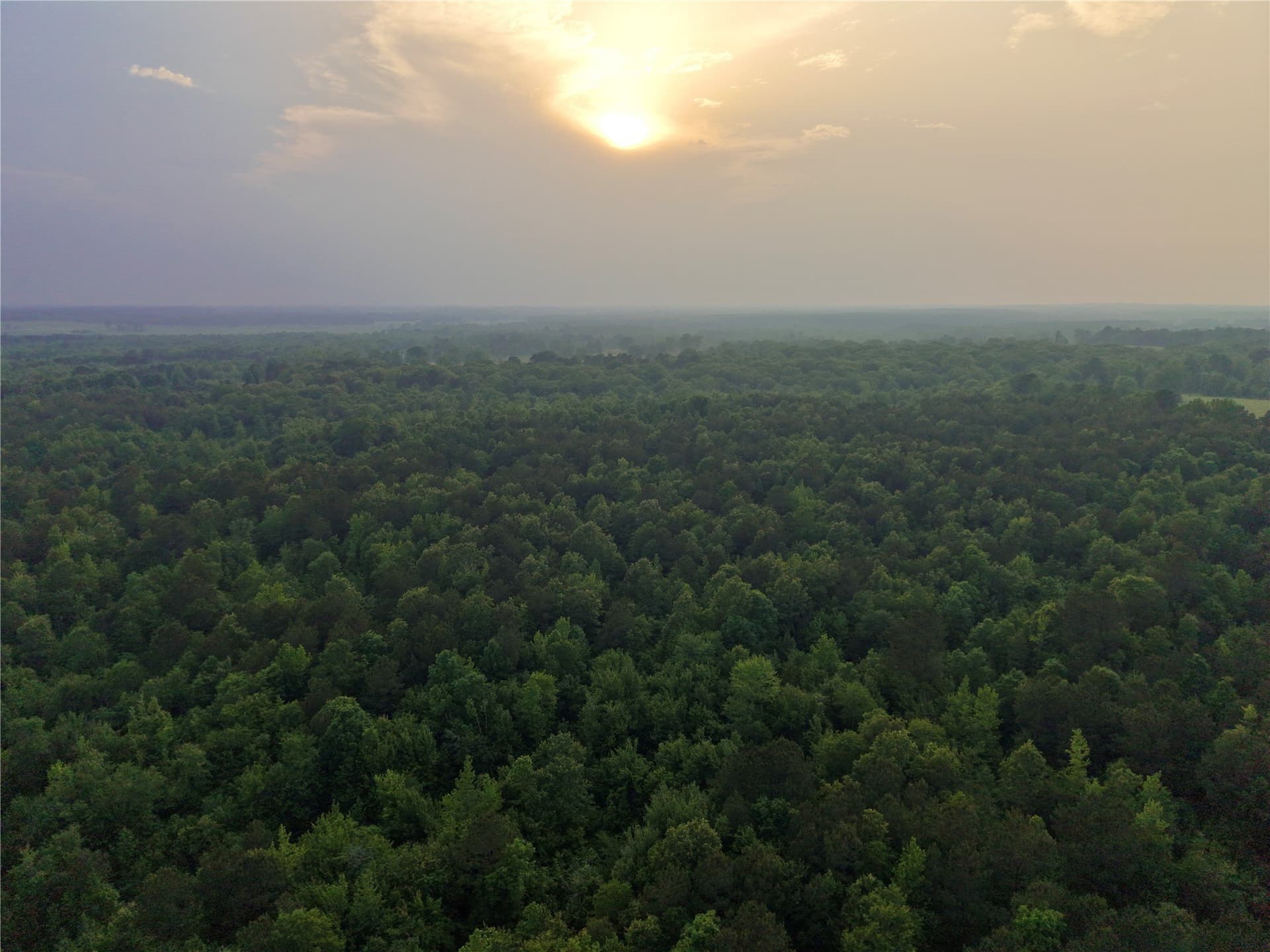 114.19 acres in Cass County - photo 11