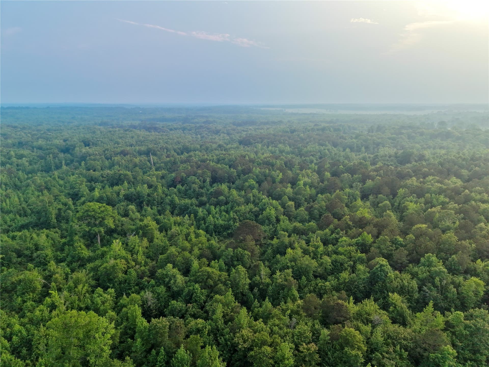 114.19 acres in Cass County - photo 20