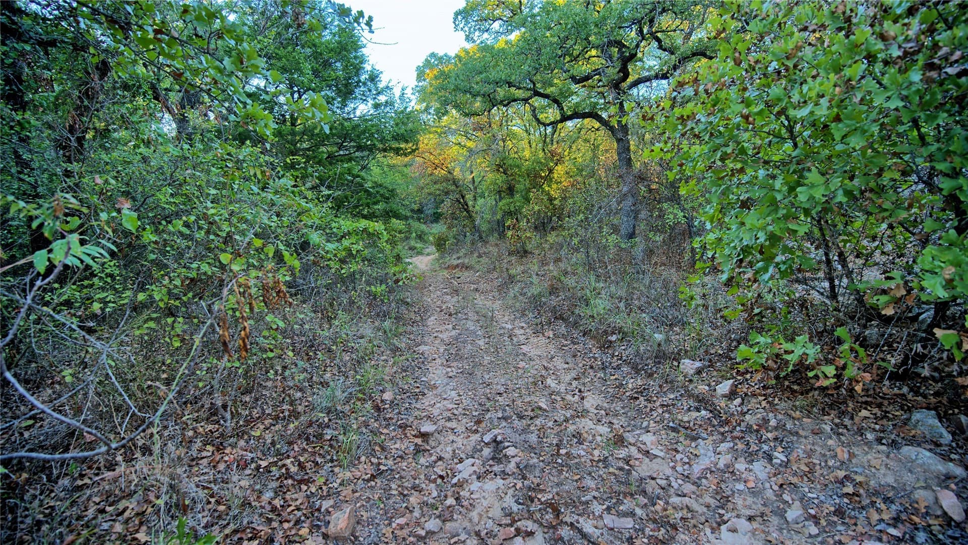 82.76 acres in Montague County - photo 19
