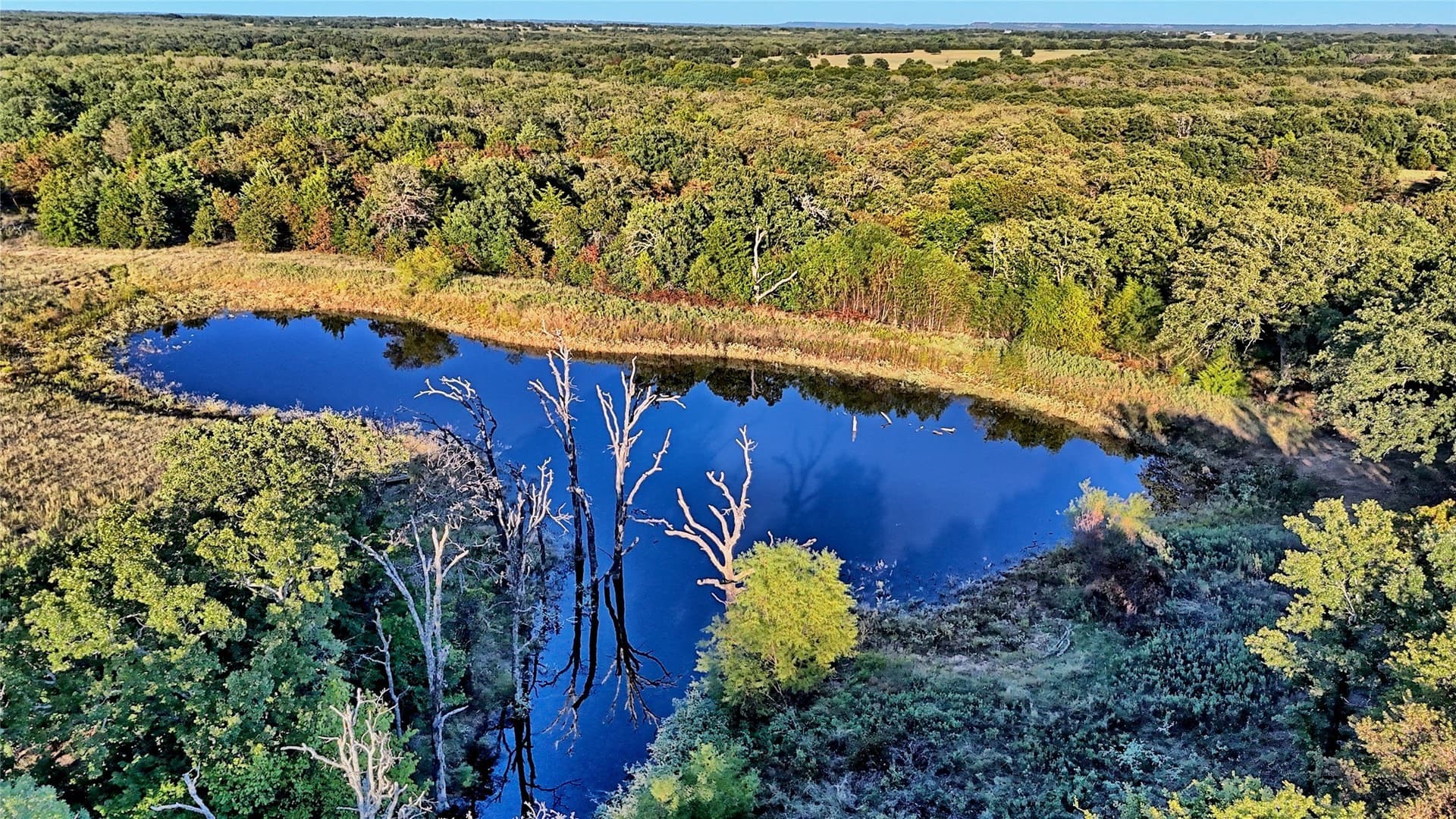 82.76 acres in Montague County - photo 3