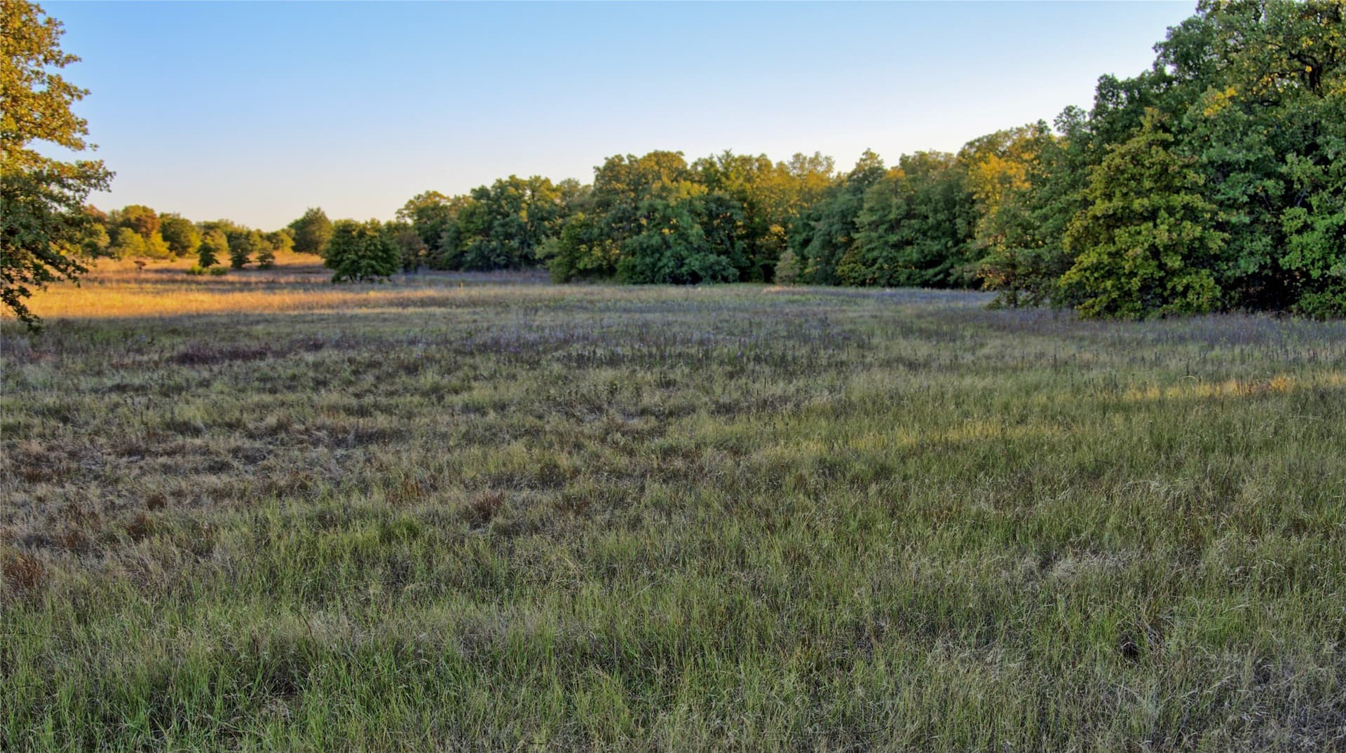 82.76 acres in Montague County - photo 14