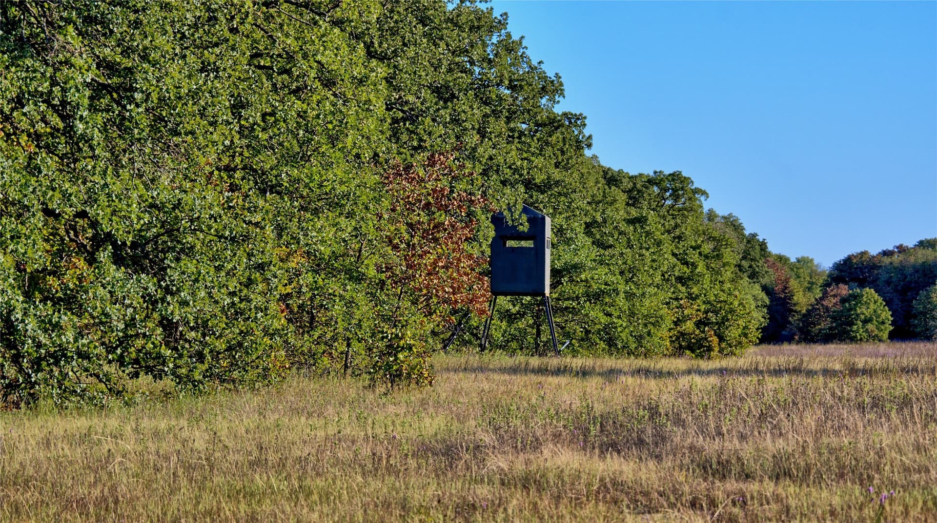 82.76 acres in Montague County - photo 13