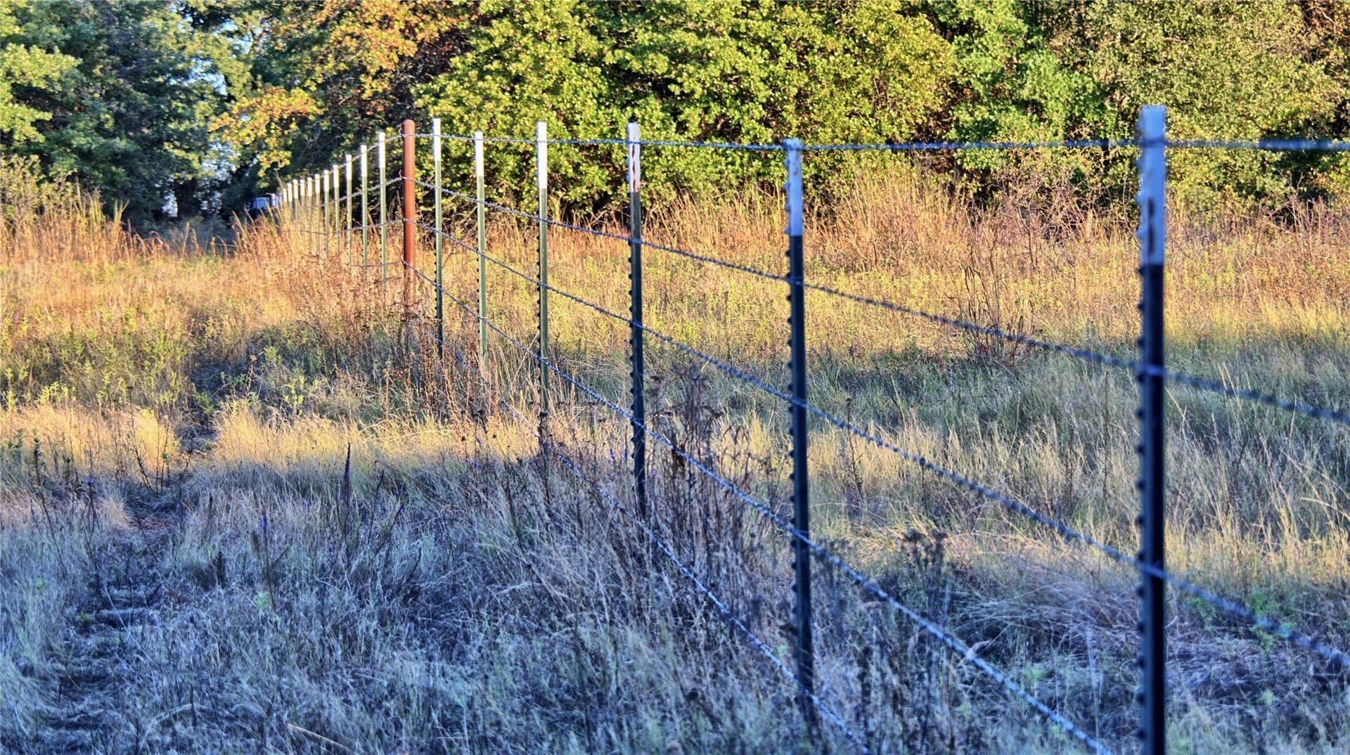 82.76 acres in Montague County - photo 6