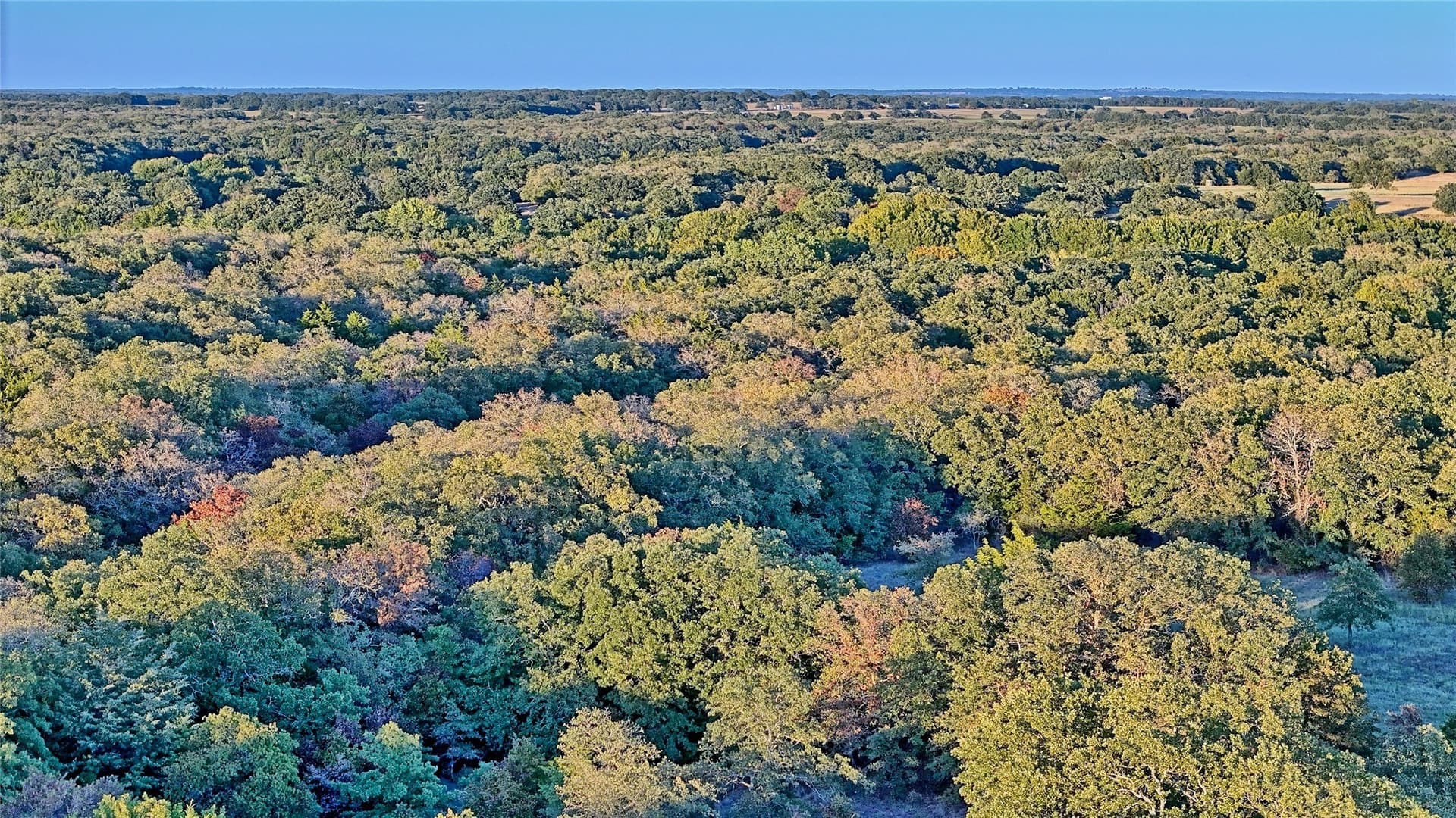 82.76 acres in Montague County - photo 17