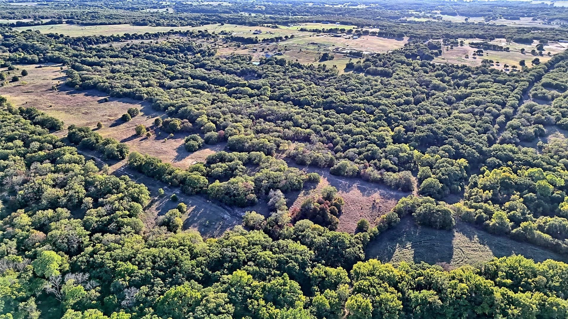 82.76 acres in Montague County - photo 22