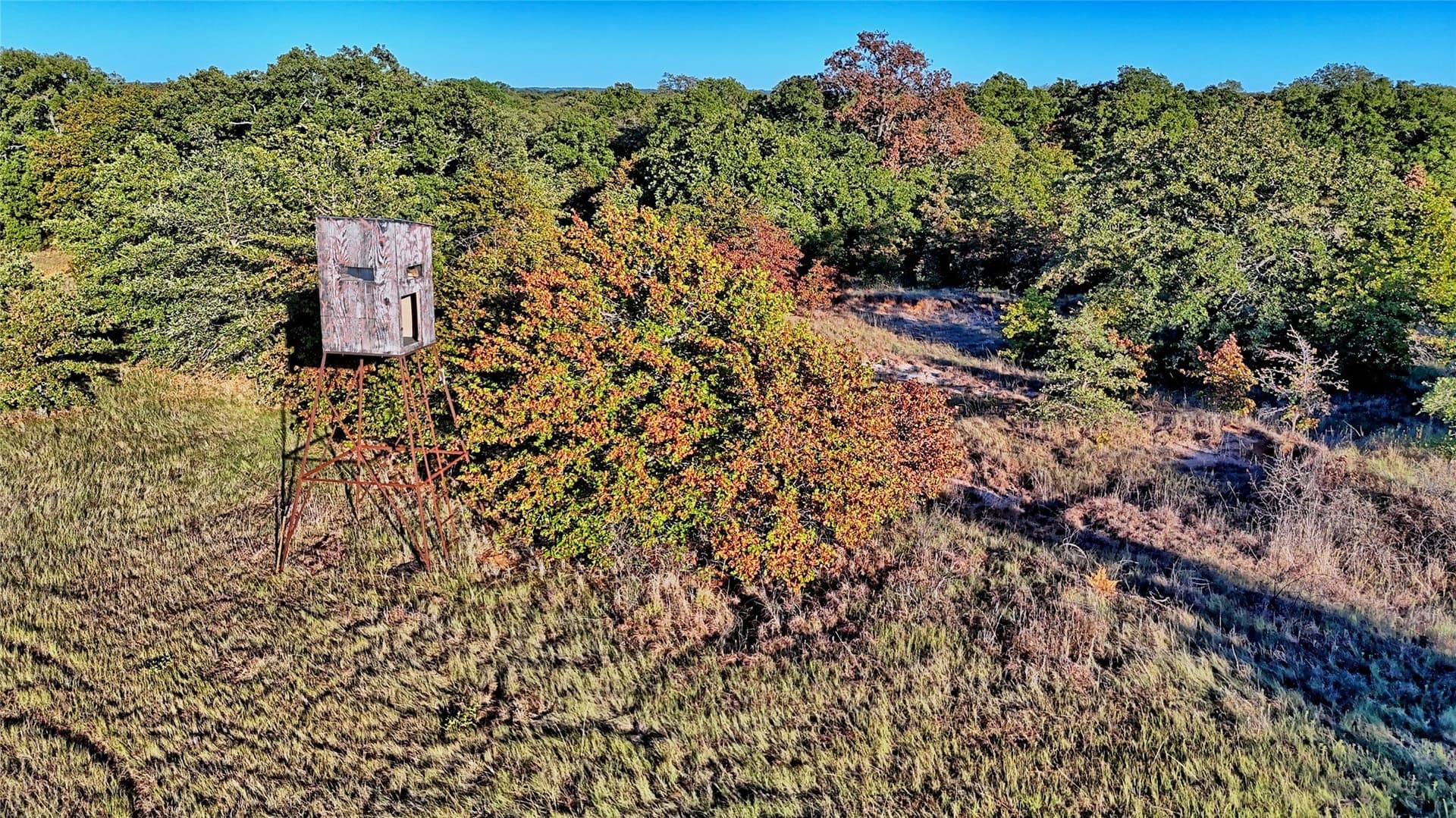 82.76 acres in Montague County - photo 11