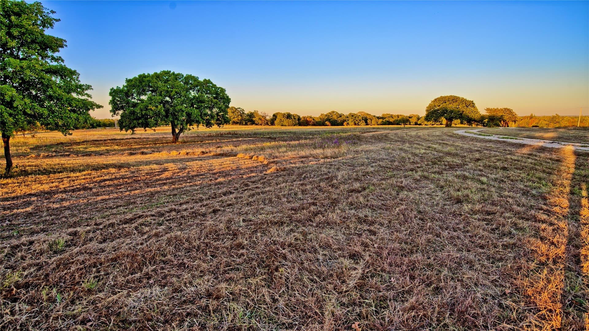 82.76 acres in Montague County - photo 7