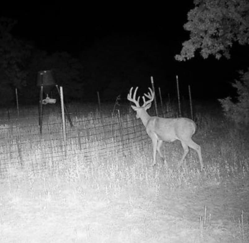82.76 acres in Montague County - photo 24