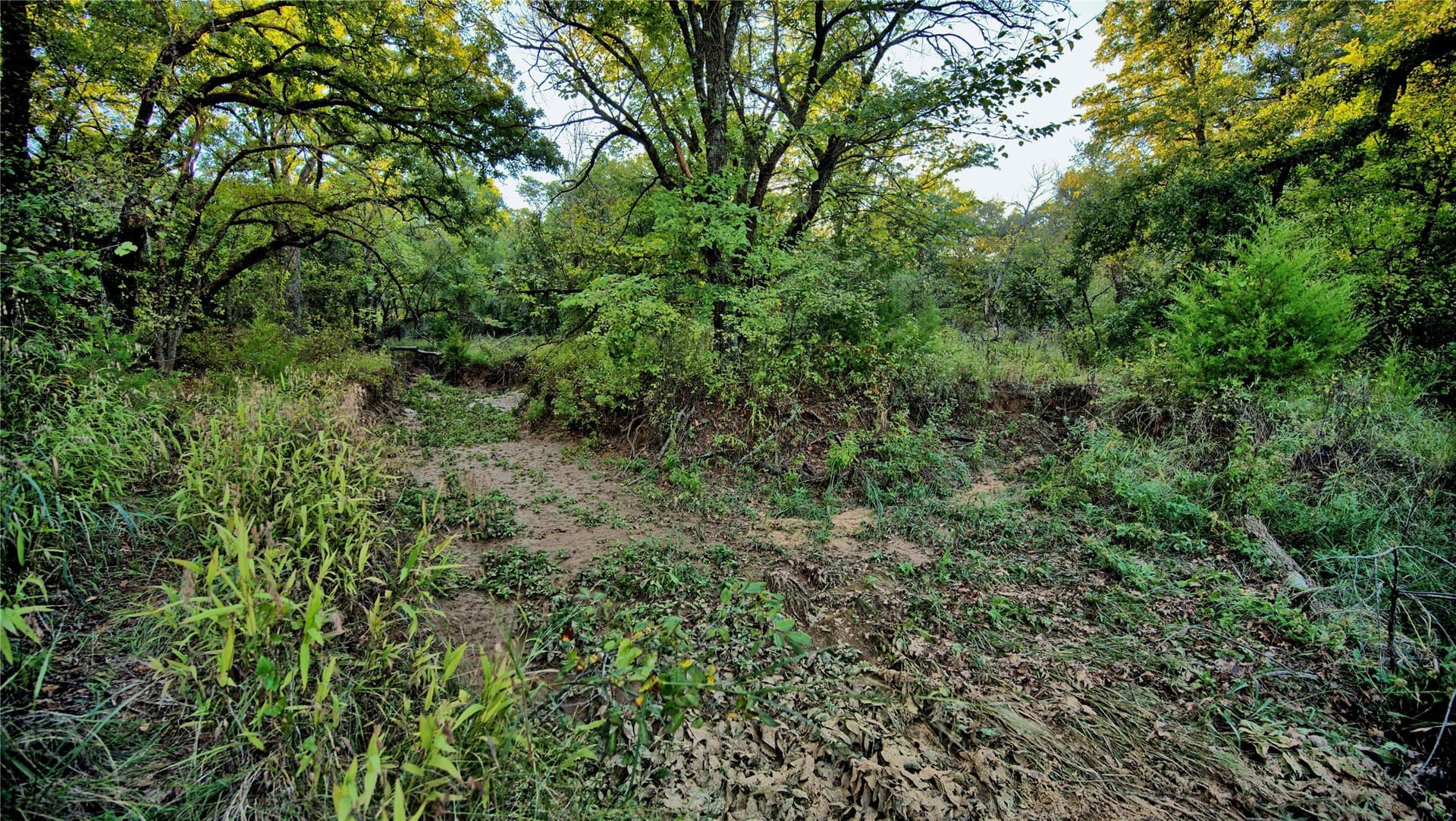 82.76 acres in Montague County - photo 10