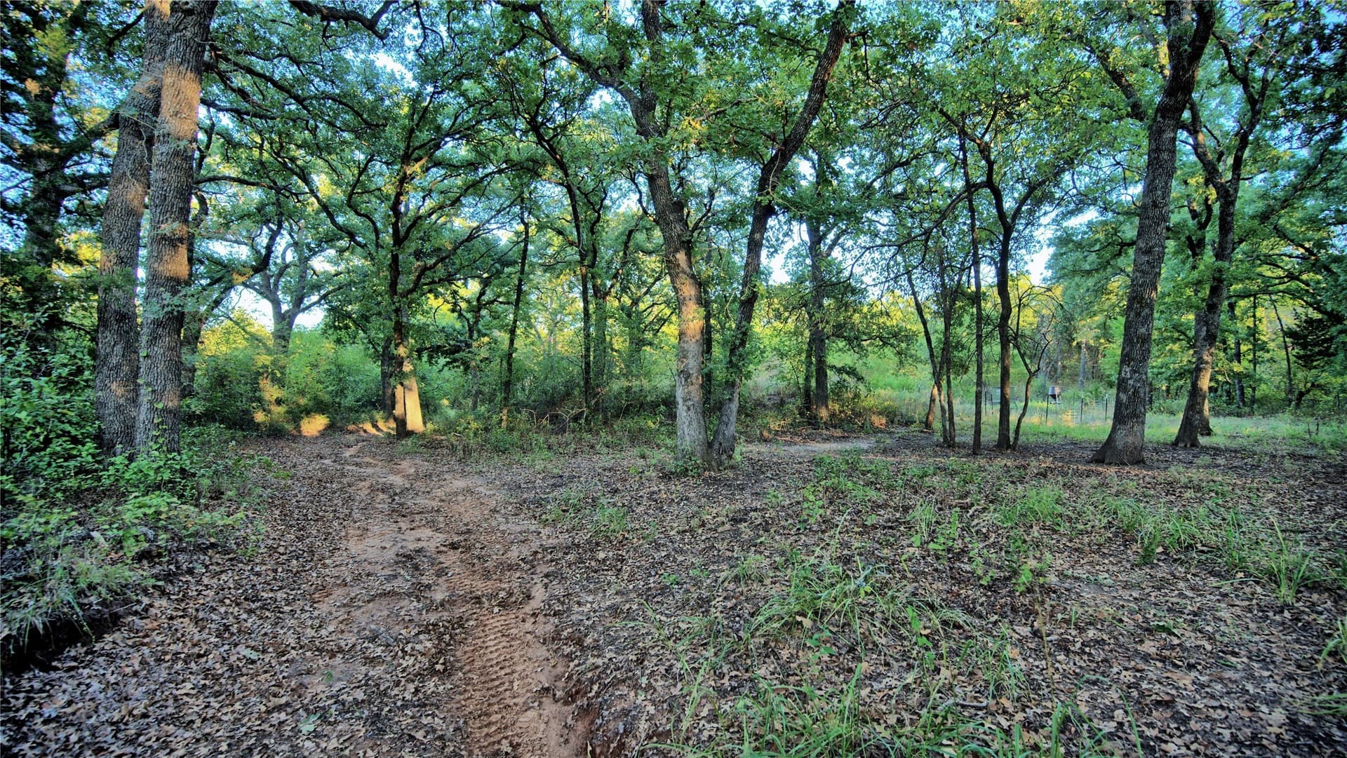 82.76 acres in Montague County - photo 4