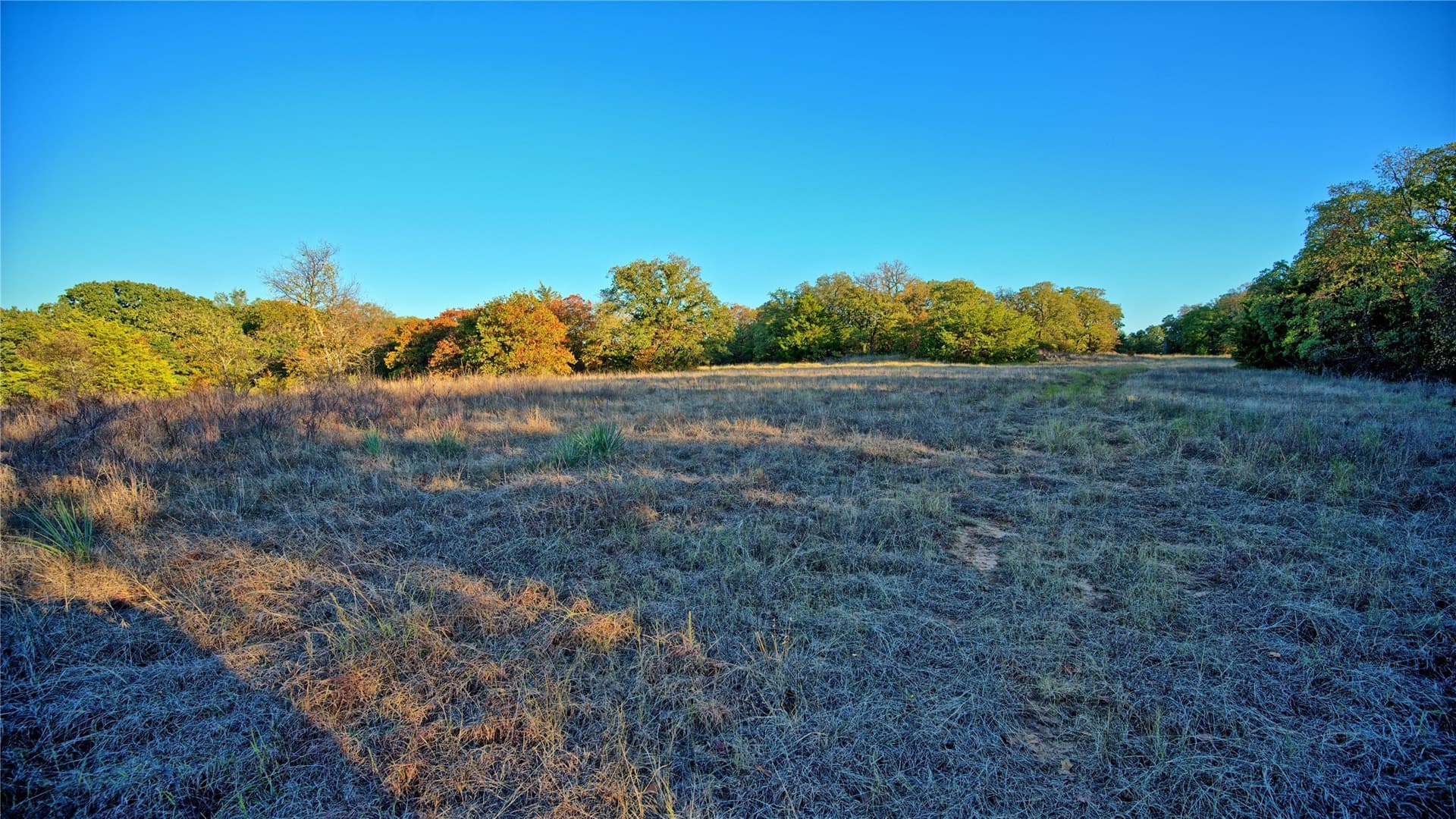 82.76 acres in Montague County - photo 20