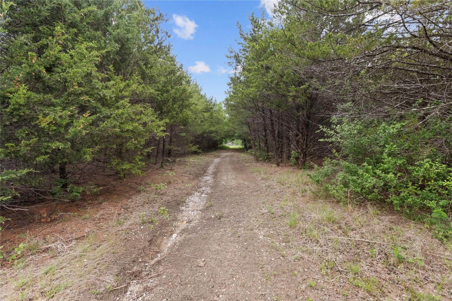 15 acres in Fannin County gallery image 2