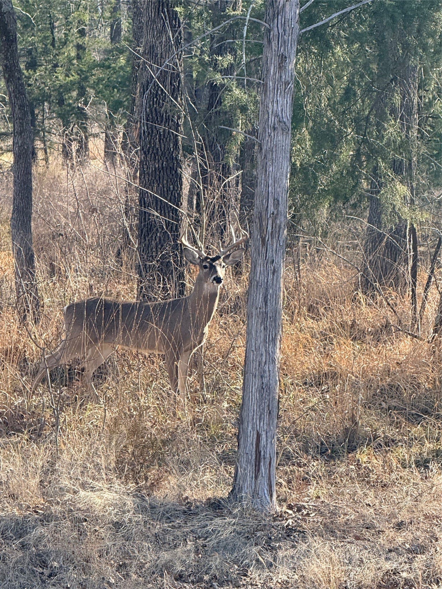 1 acres in Hunt County - photo 16