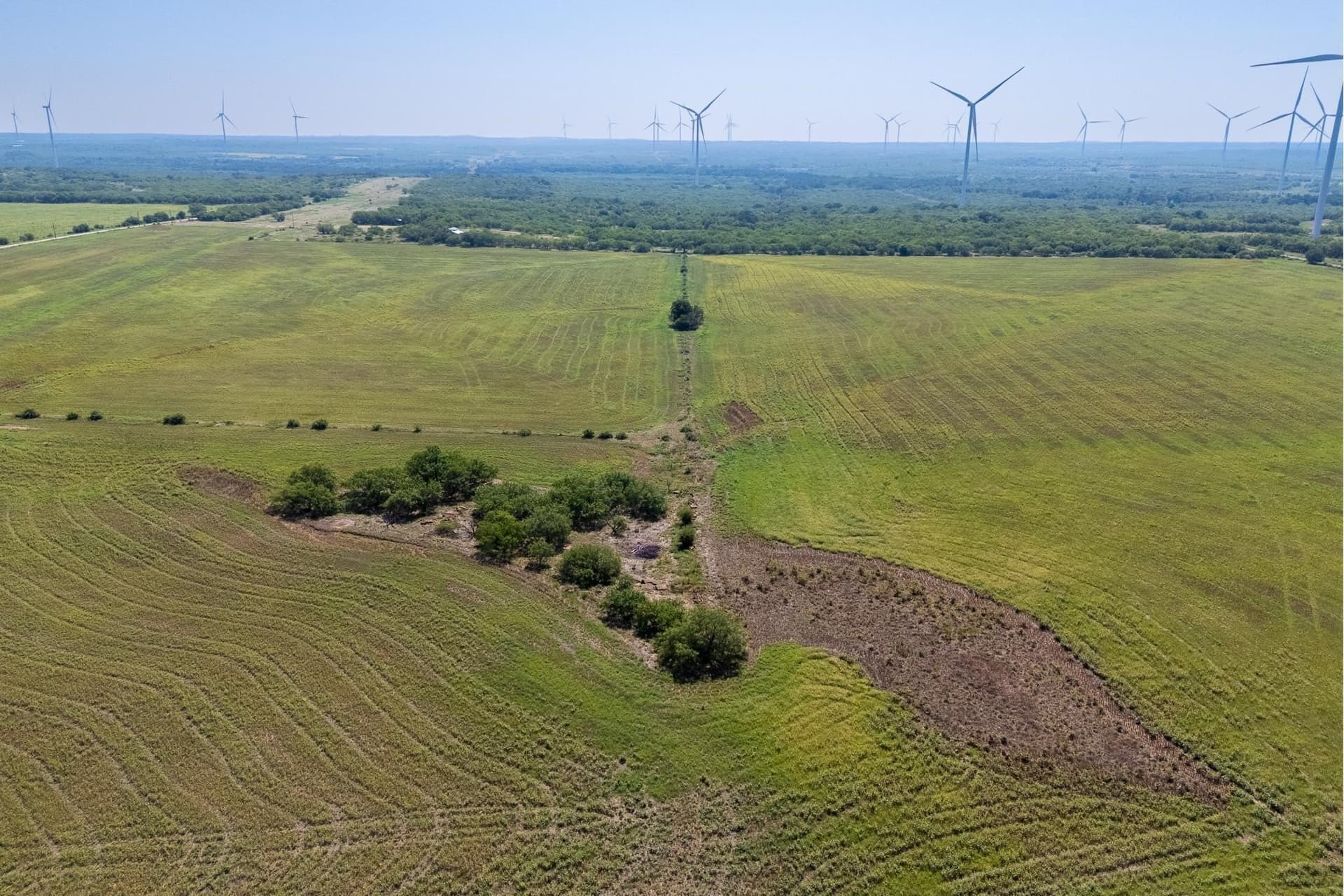 191.5 acres in Callahan County - photo 7