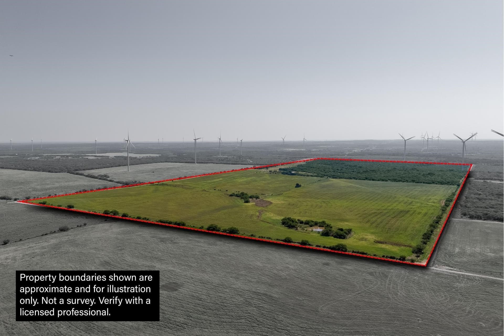 191.5 acres in Callahan County - photo 5